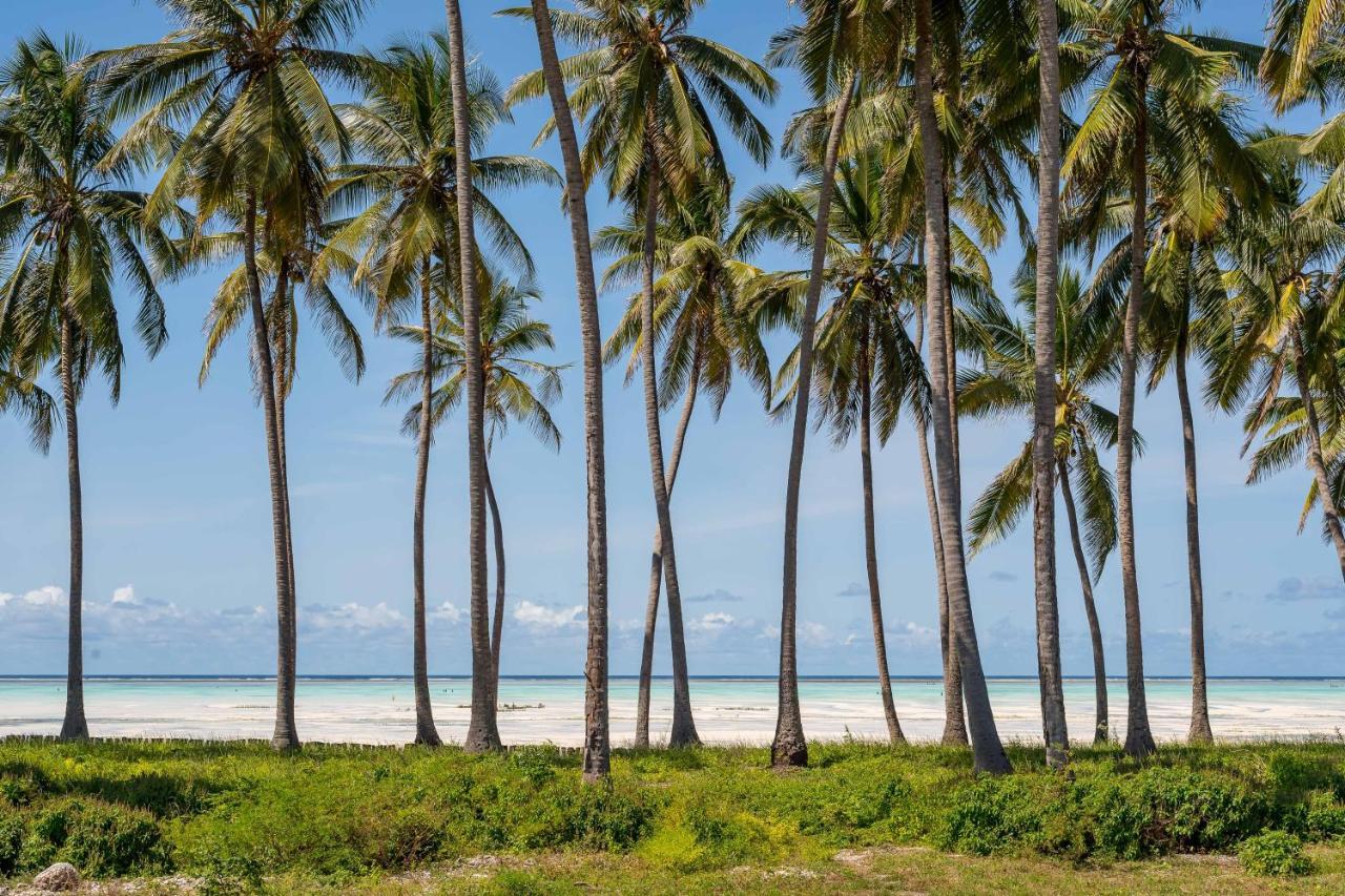 Tasneem Islamic Luxury Jambiani (Zanzibar)