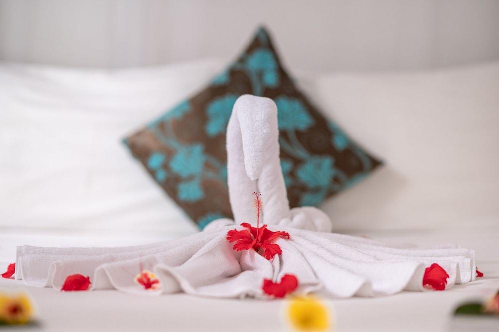 Hakuna Majiwe Hotel Paje