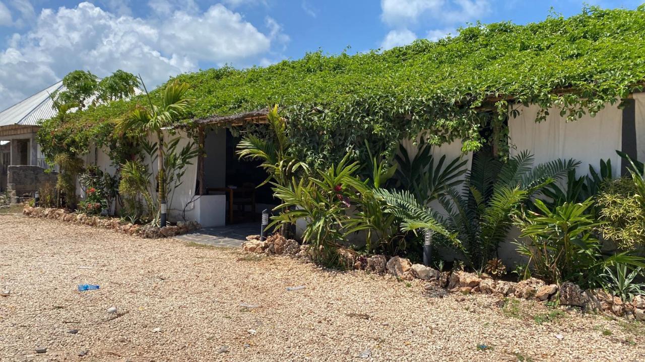 Cactus Zanzibar Inn *