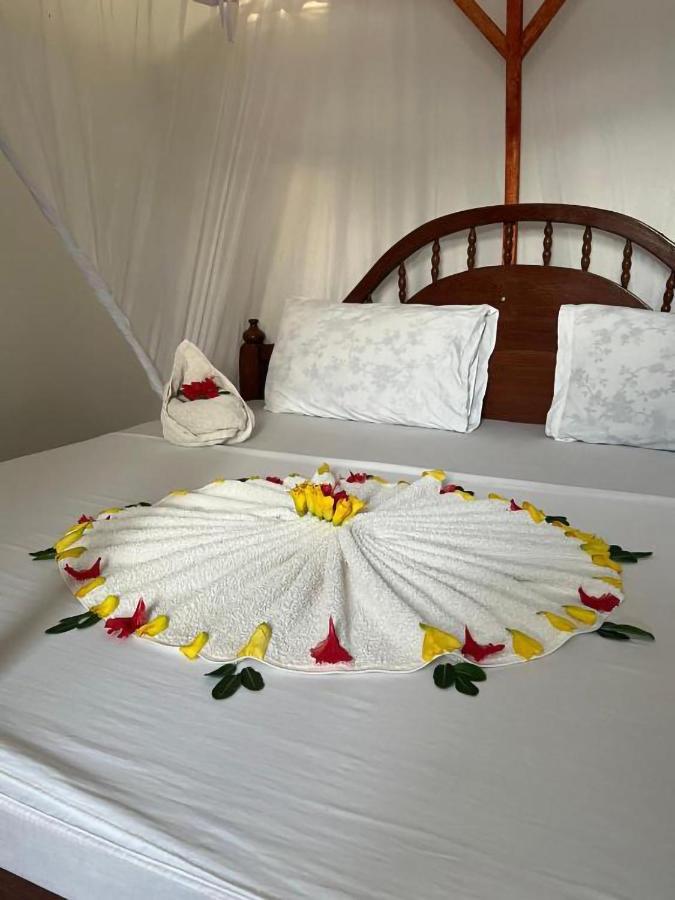 Guest house Mauwa House *