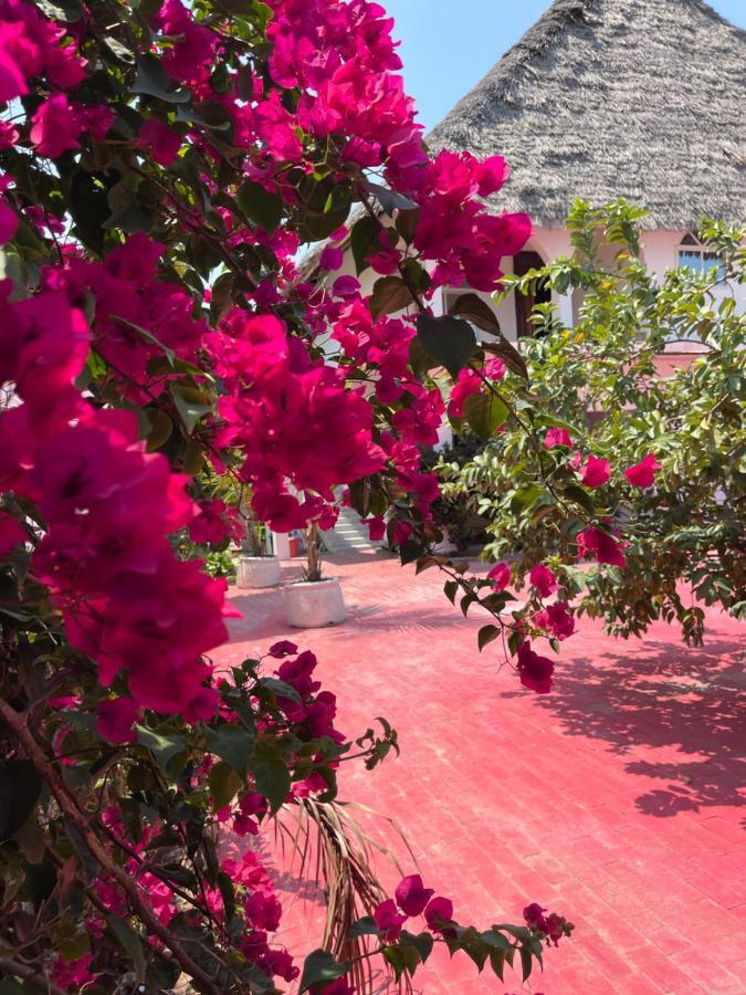 Euphoria - Adults Only Guest house Paje