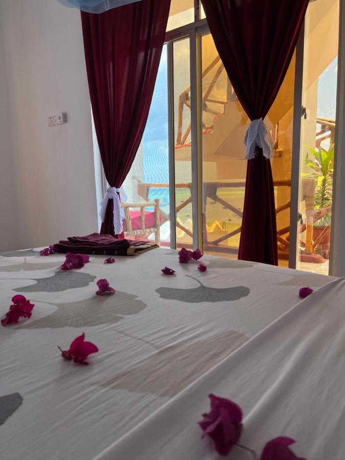 Hotel Zaina Larssons