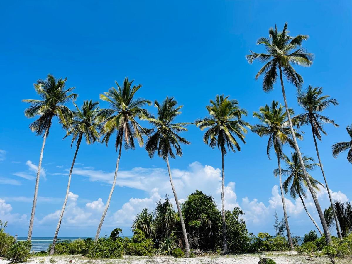 Lulu Kiwengwa (Zanzibar)