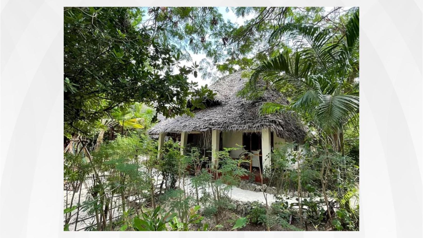 Bellevue Zanzibar Bed & Breakfast Bwejuu
