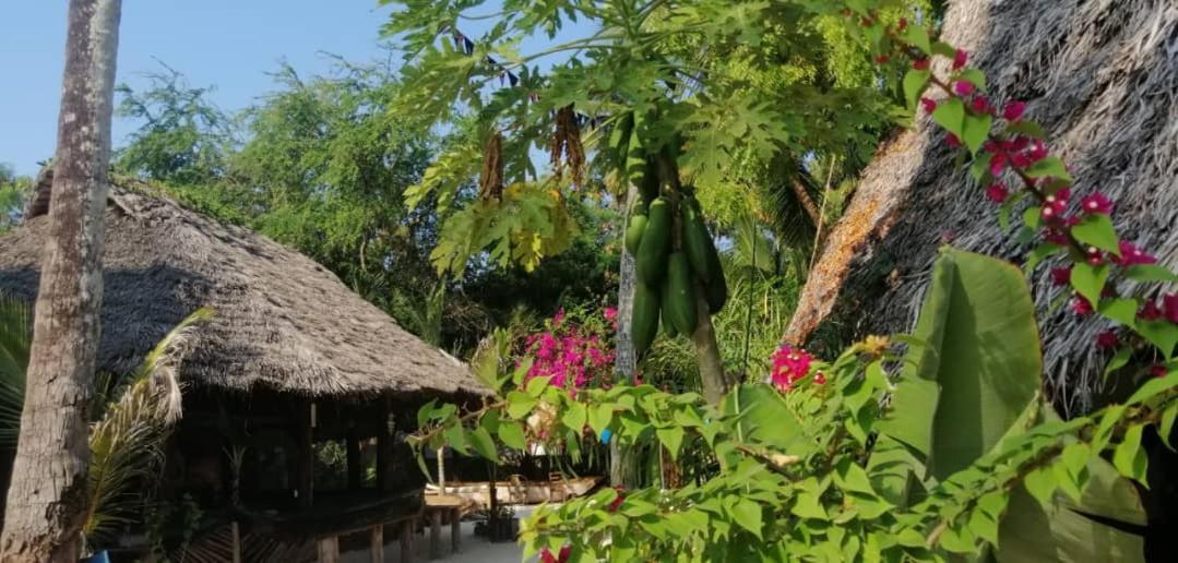 Furaha Frühstückspension Jambiani (Zanzibar)