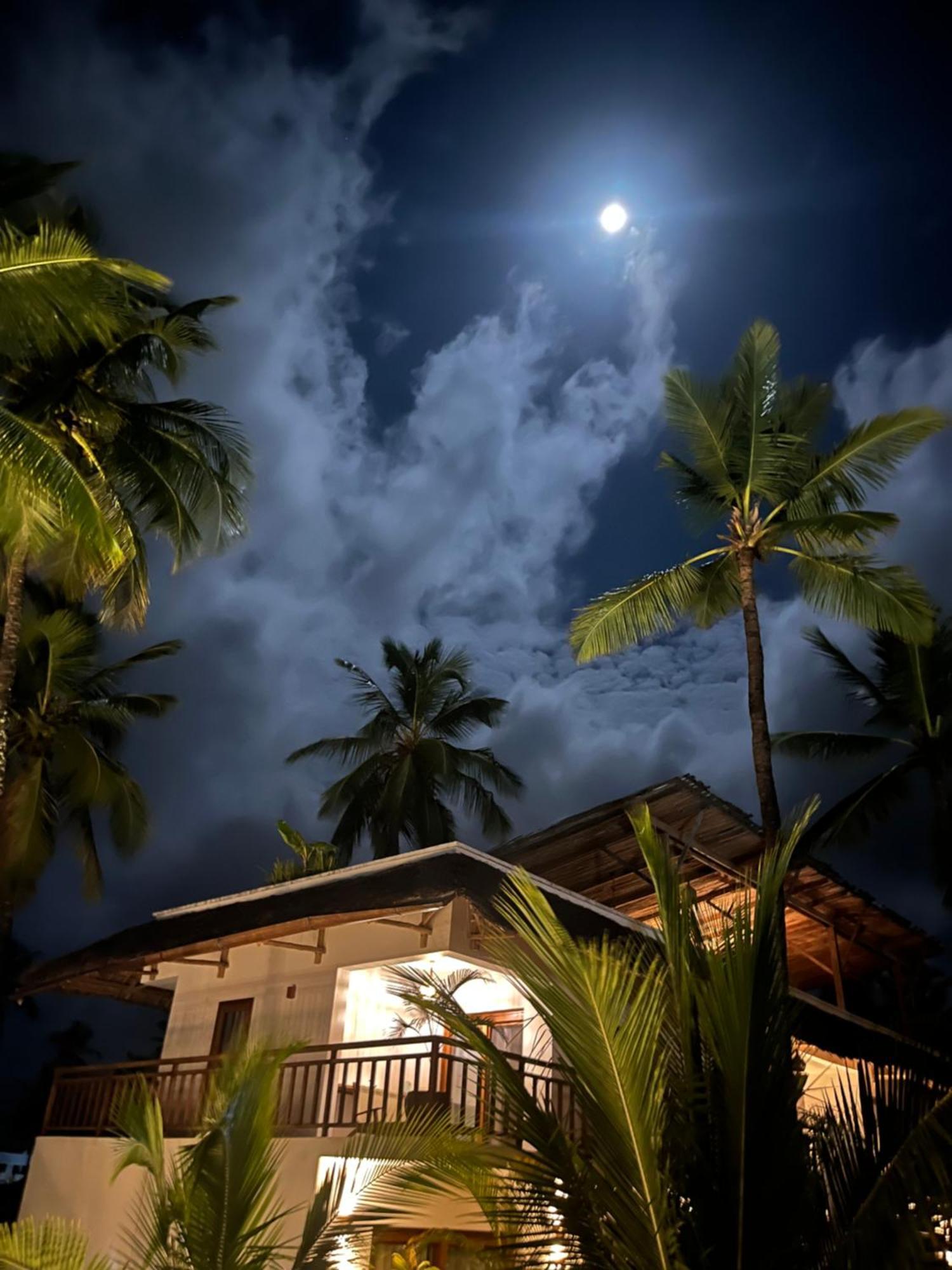 Aluna Hotel 4*
