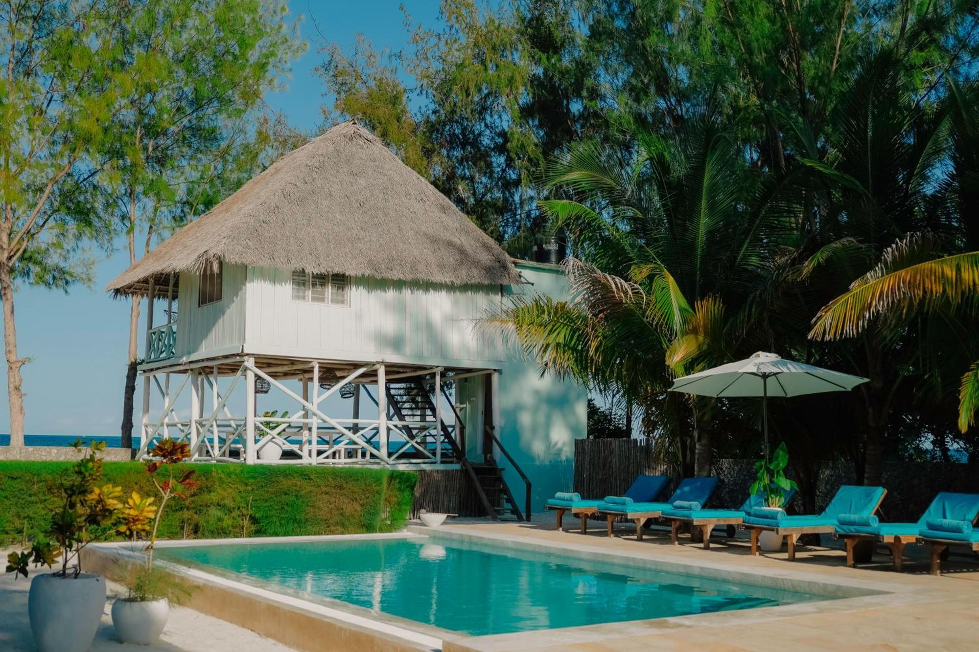 Passiflora Zanzibar *