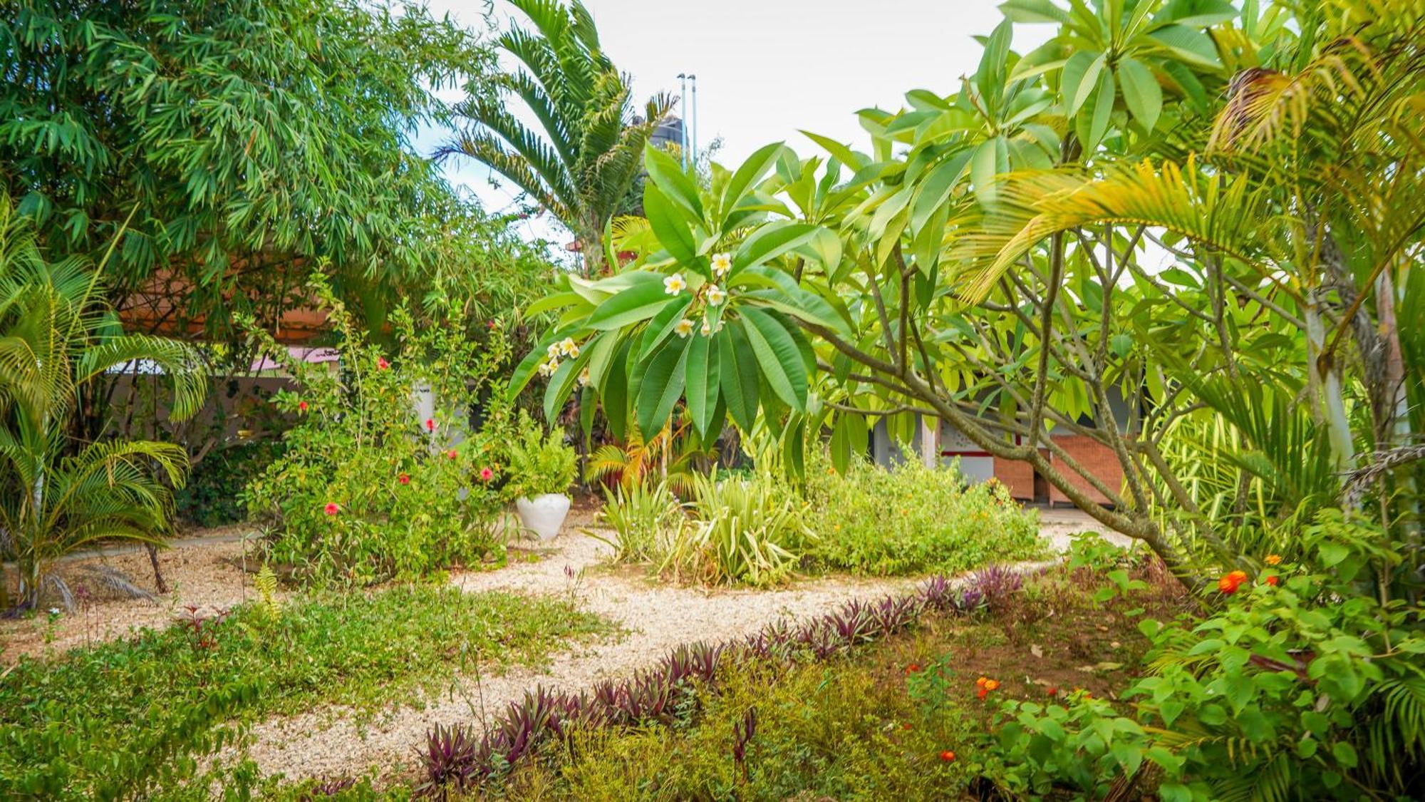Bed & Breakfast House Nungwi