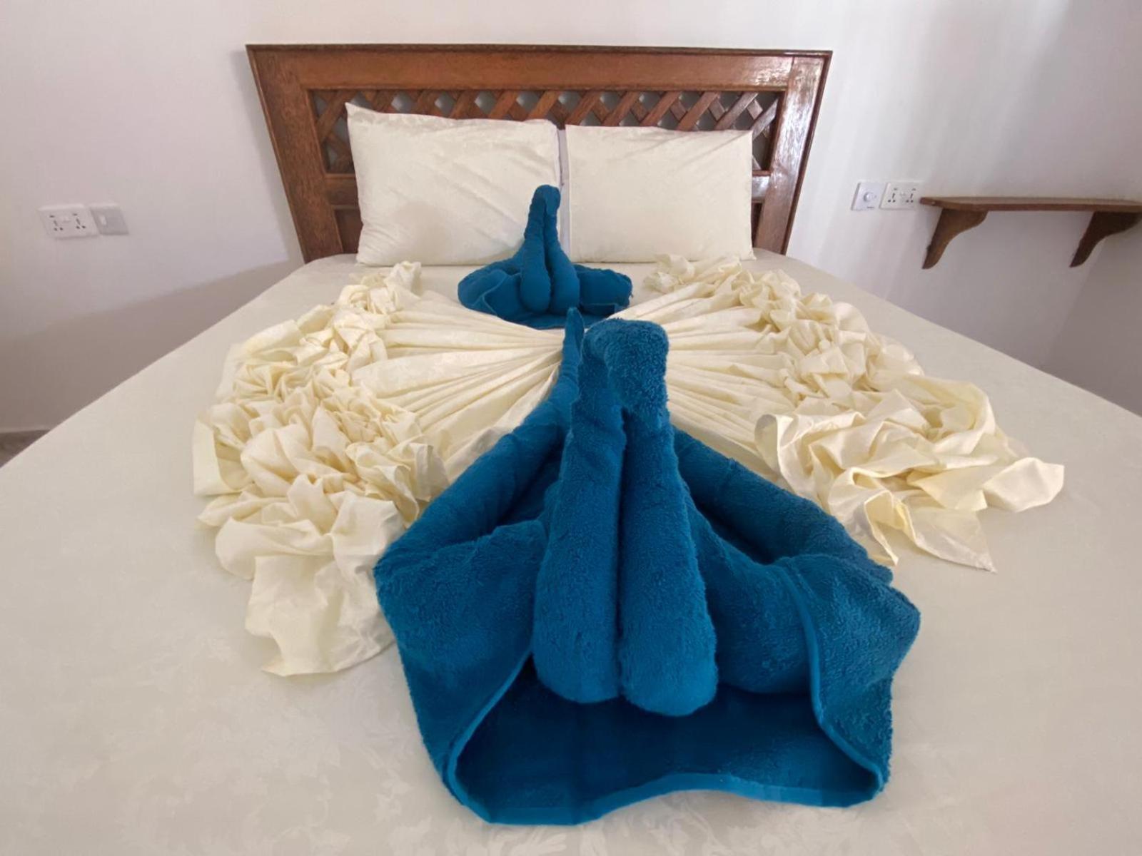 Hotel Amani