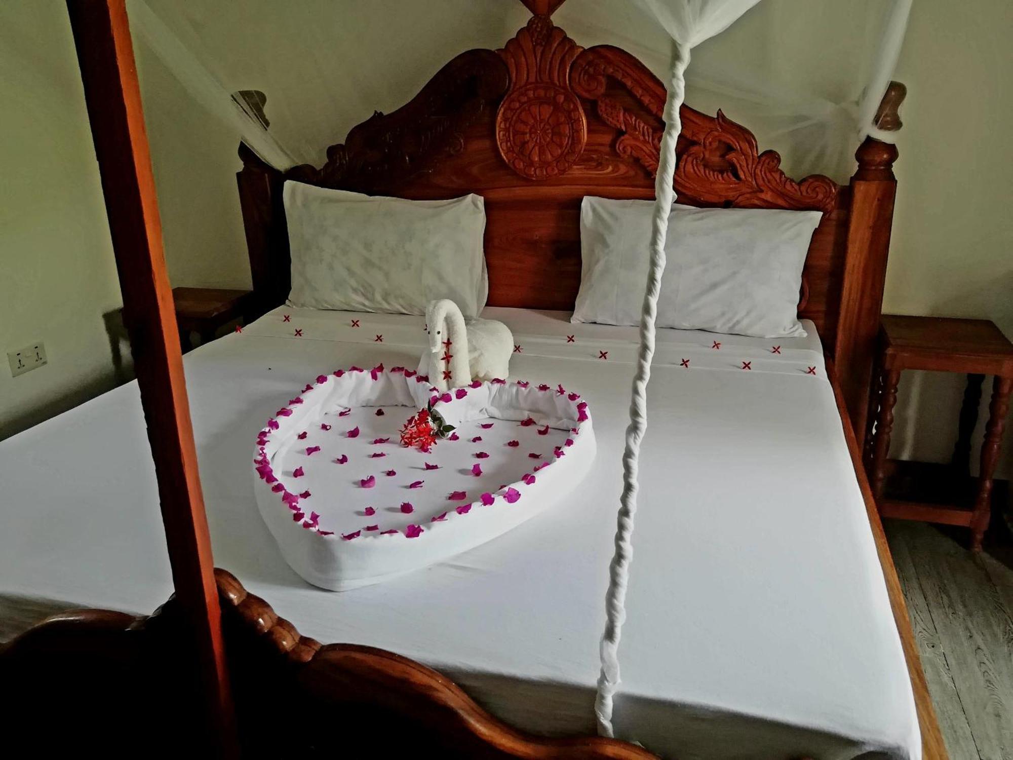 Bed & Breakfast The New Blue Waves