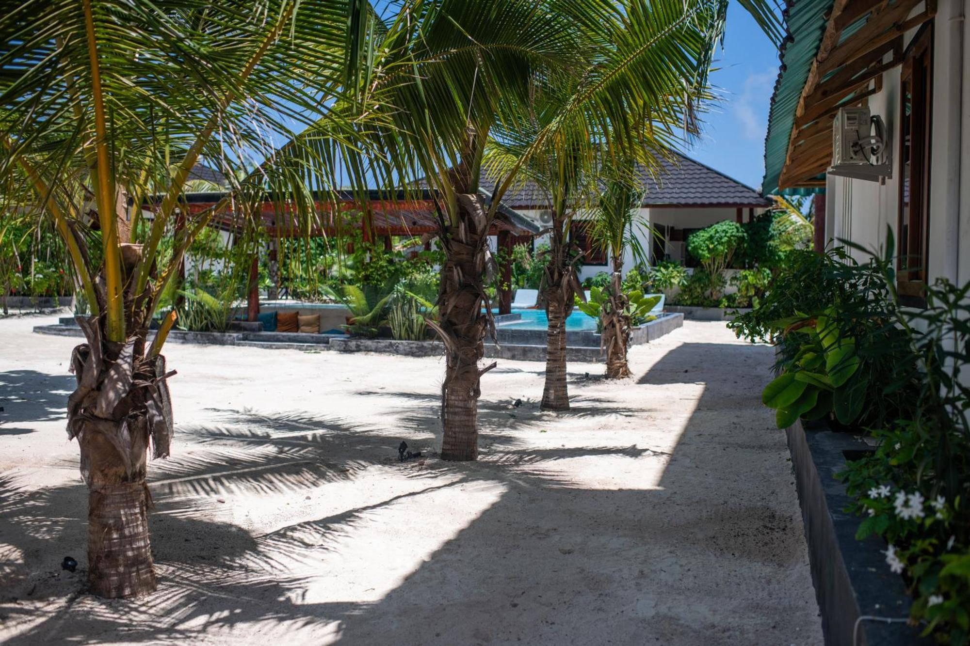 Baobab Apartment Jambiani (Zanzibar)
