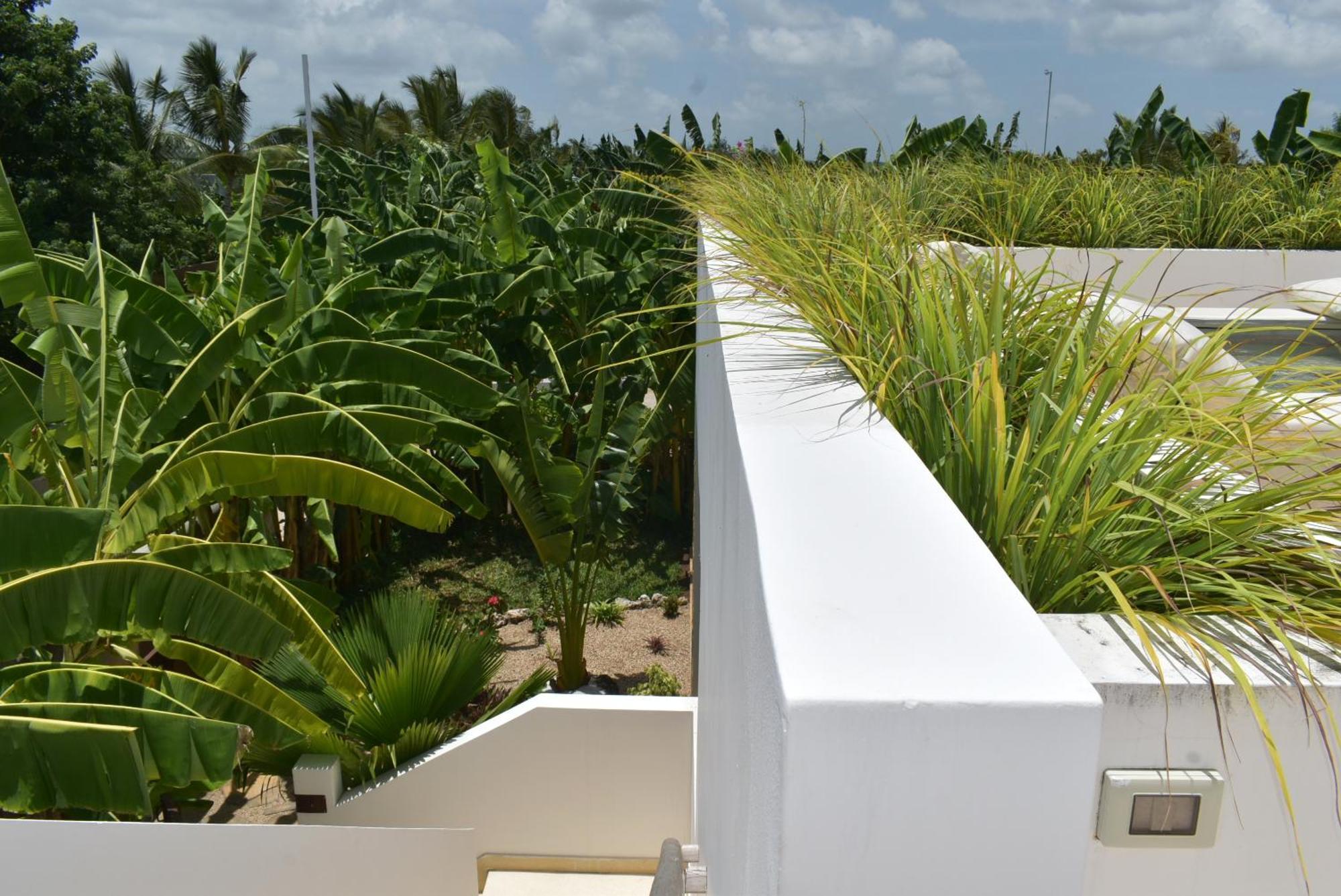 Julito, Kiwengwa Kiwengwa (Zanzibar)