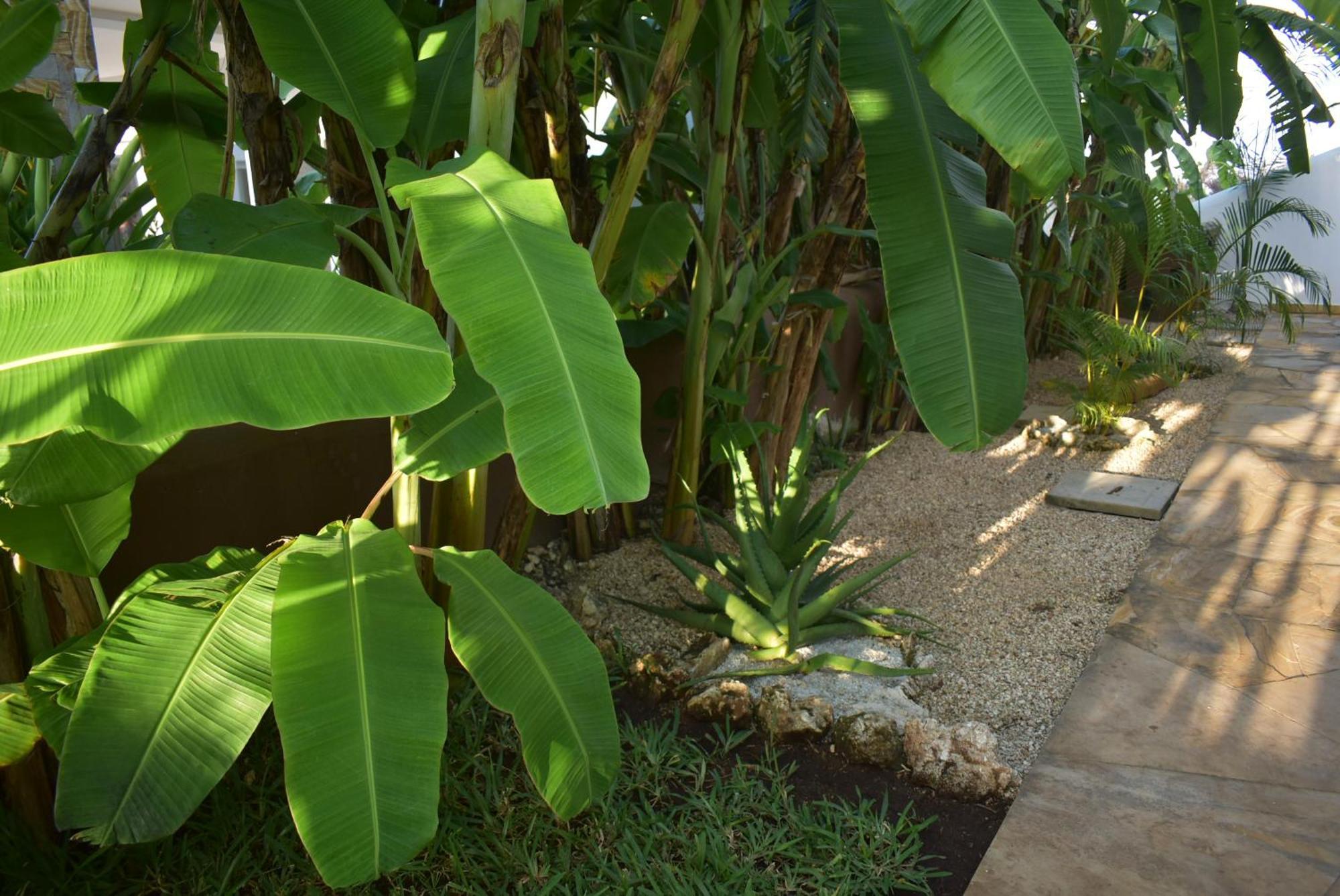 Villa Julito, Kiwengwa *