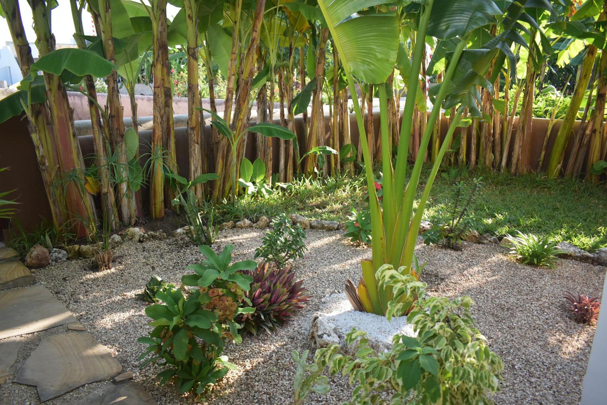 Julito, Kiwengwa Villa *