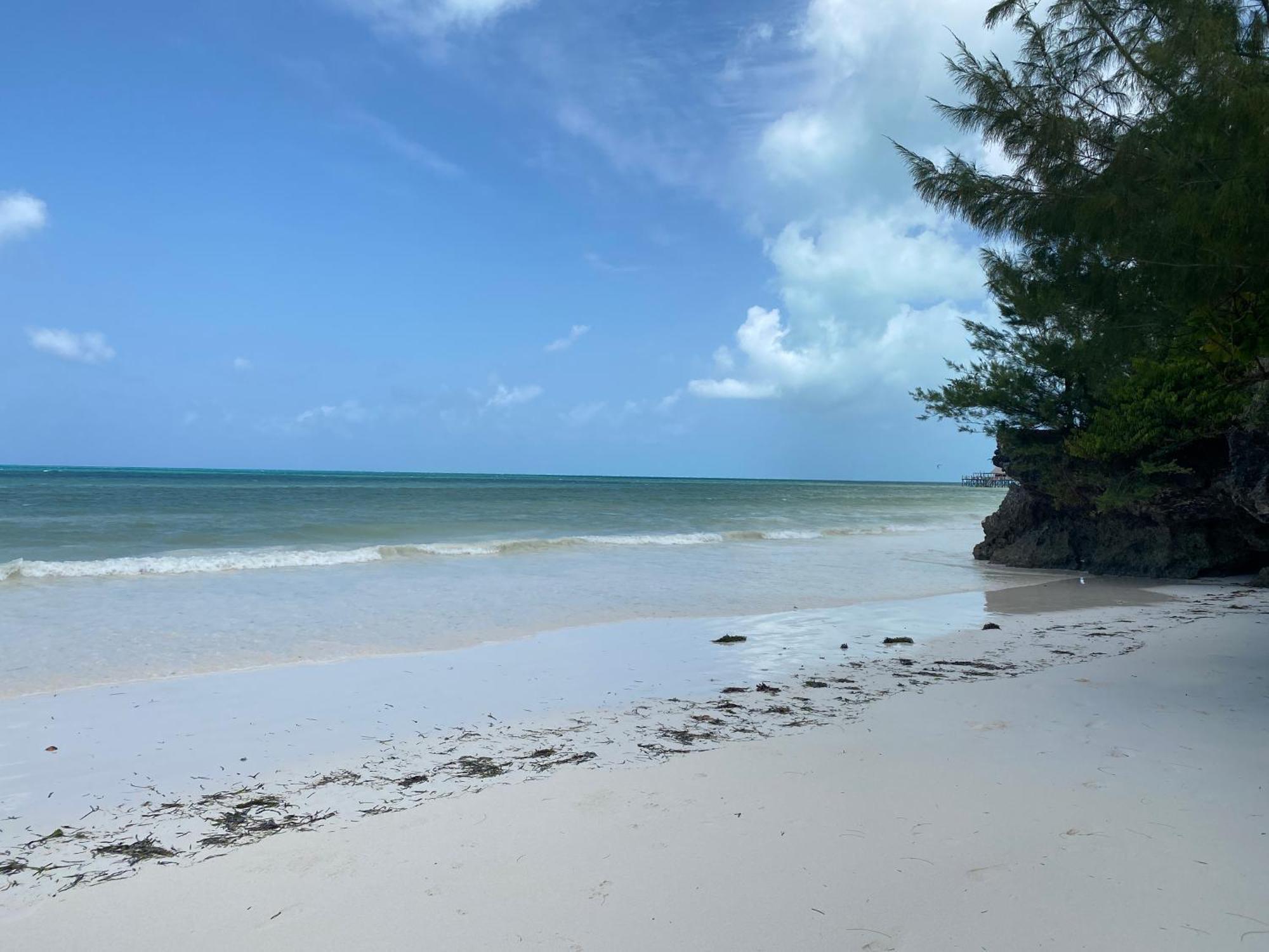 Mbuyuni Village Jambiani (Zanzibar)