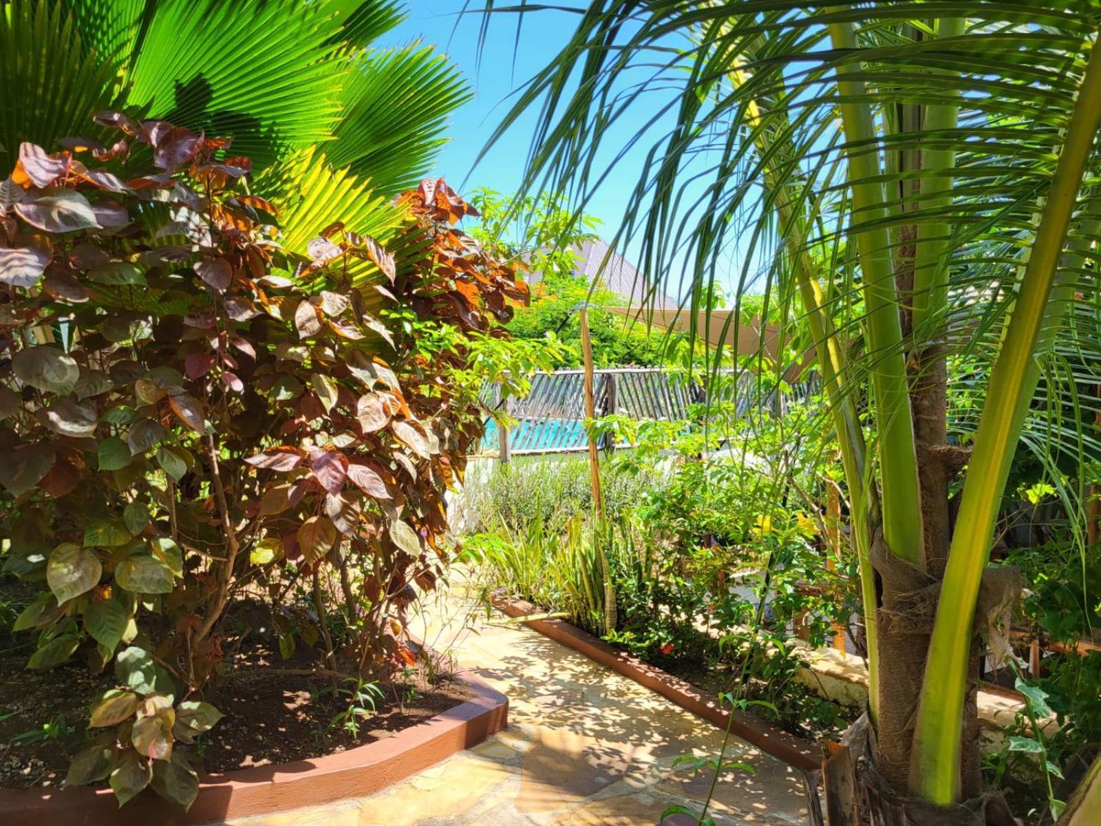 Nyumbani 3* Jambiani (Zanzibar)