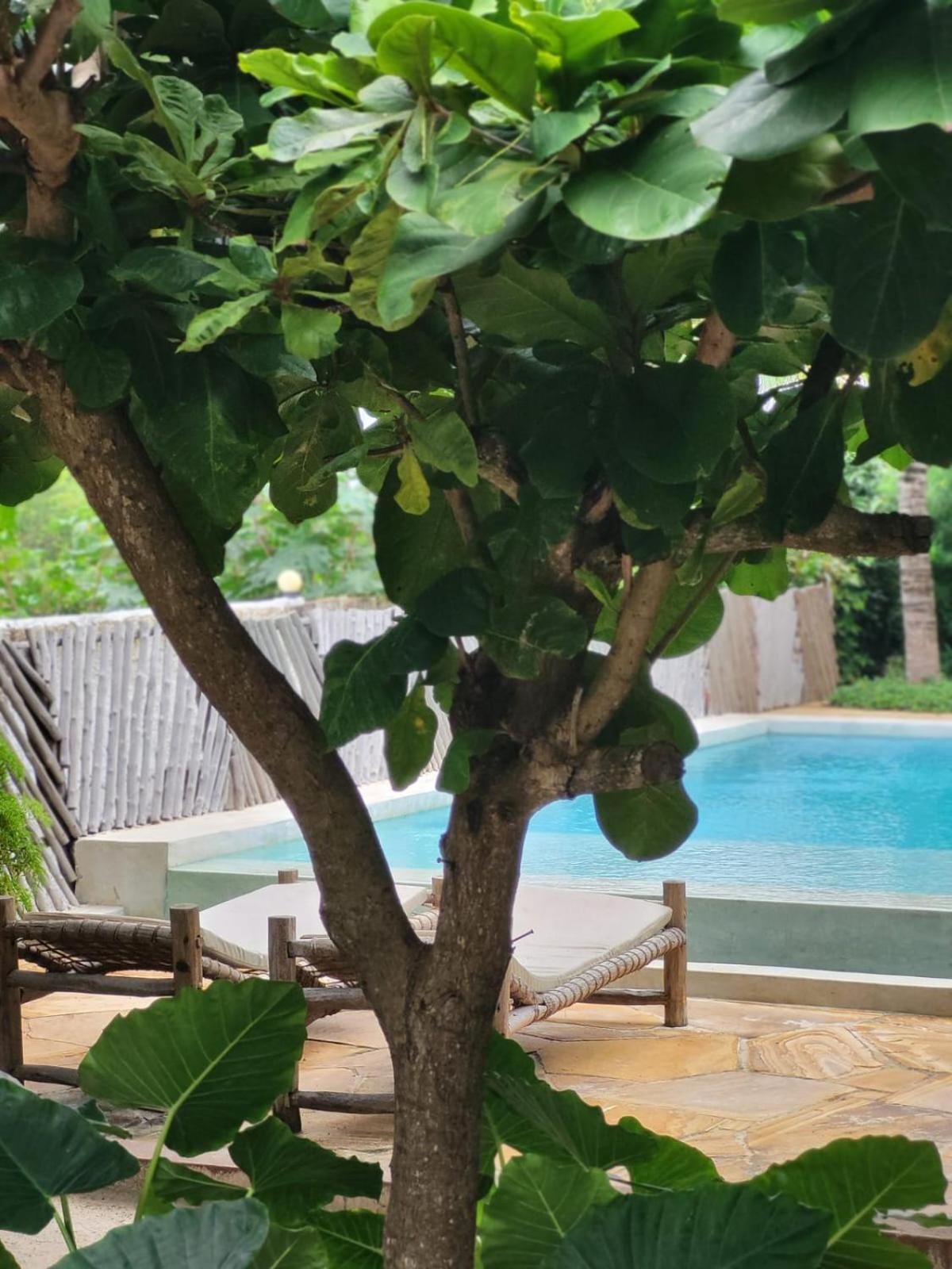 Nyumbani Aparthotel 3*