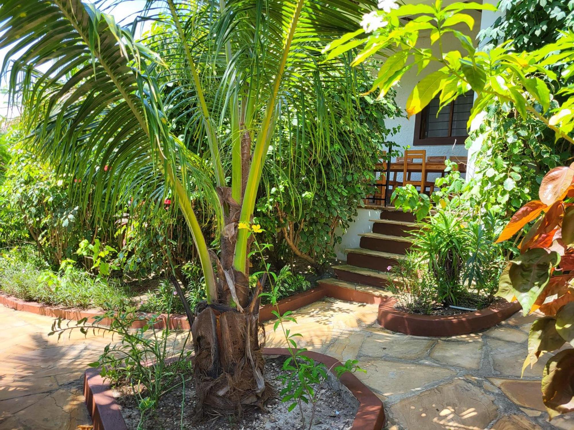 Aparthotel Nyumbani