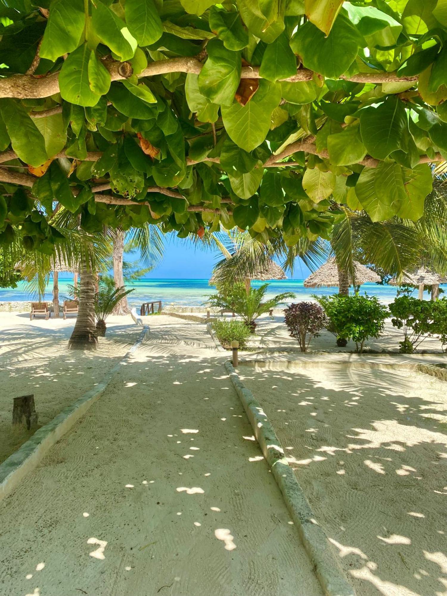 Hotel White Star Ocean View Paje