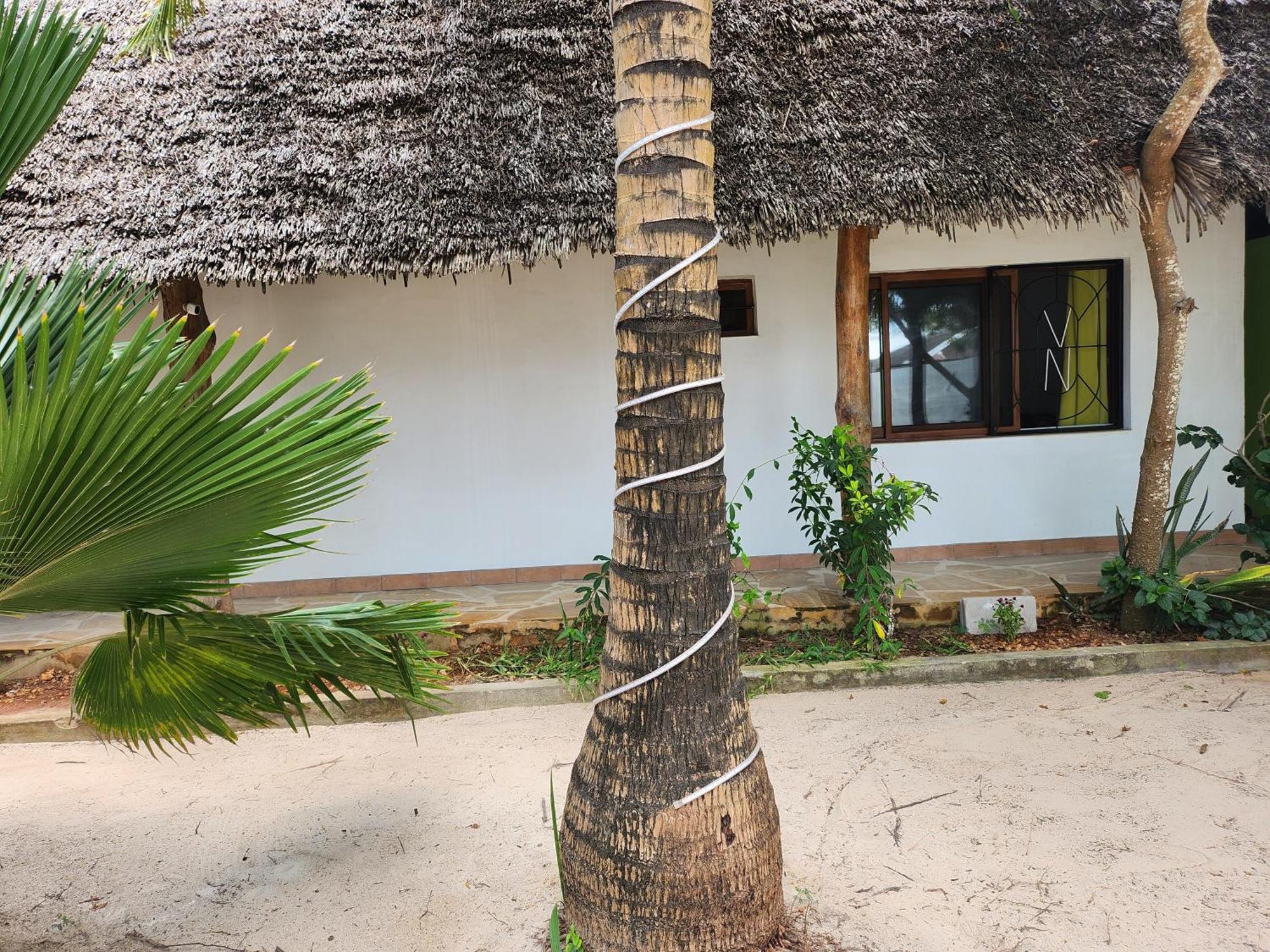 Villa Noah Zanzibar