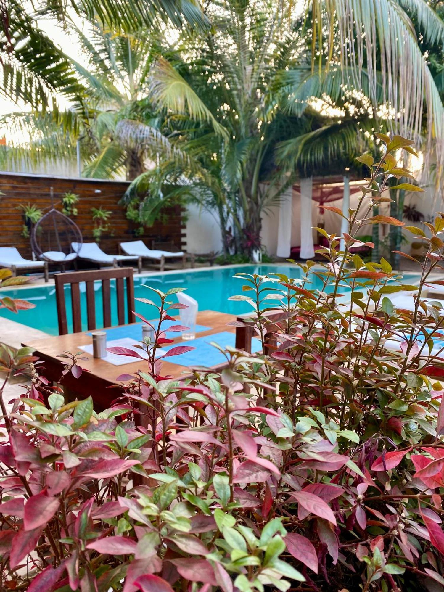 Hotel Cezere The Palm