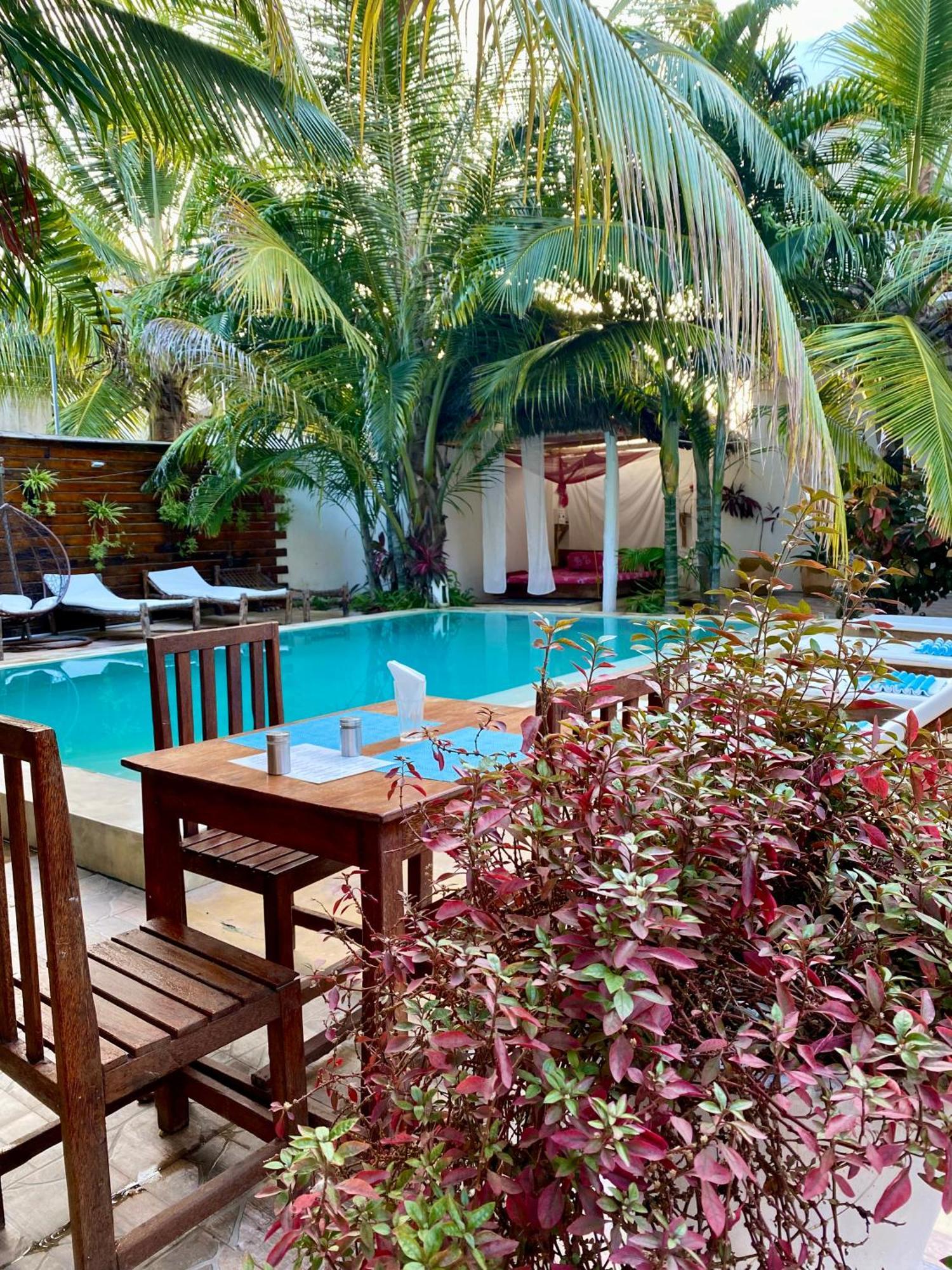 Hotel Cezere The Palm