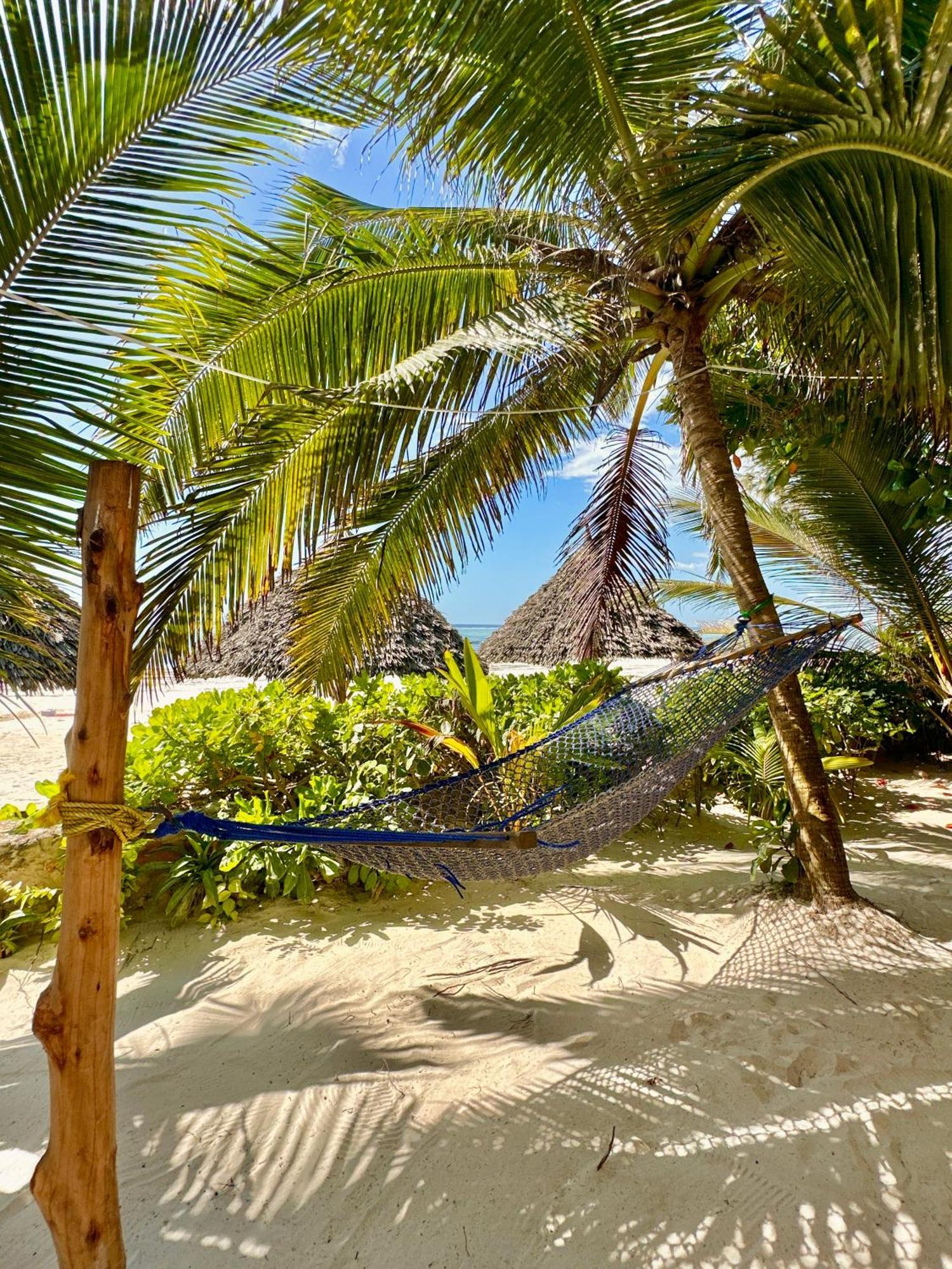 Hebe 3* Matemwe (Zanzibar)