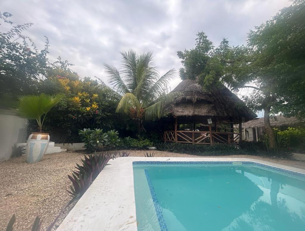Lodge Vanilla Nungwi