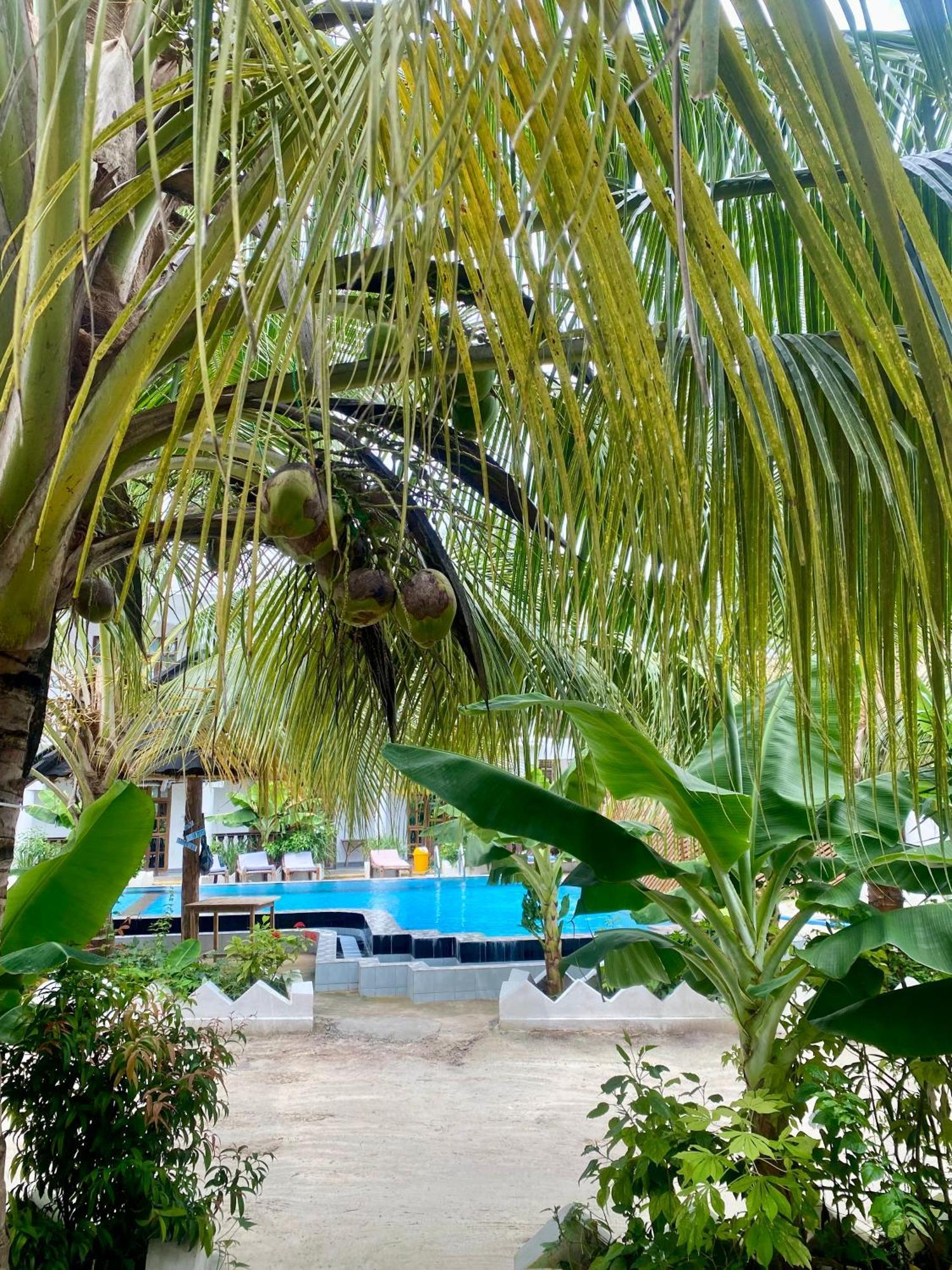 Bed & Breakfast The New Blue Waves 2*