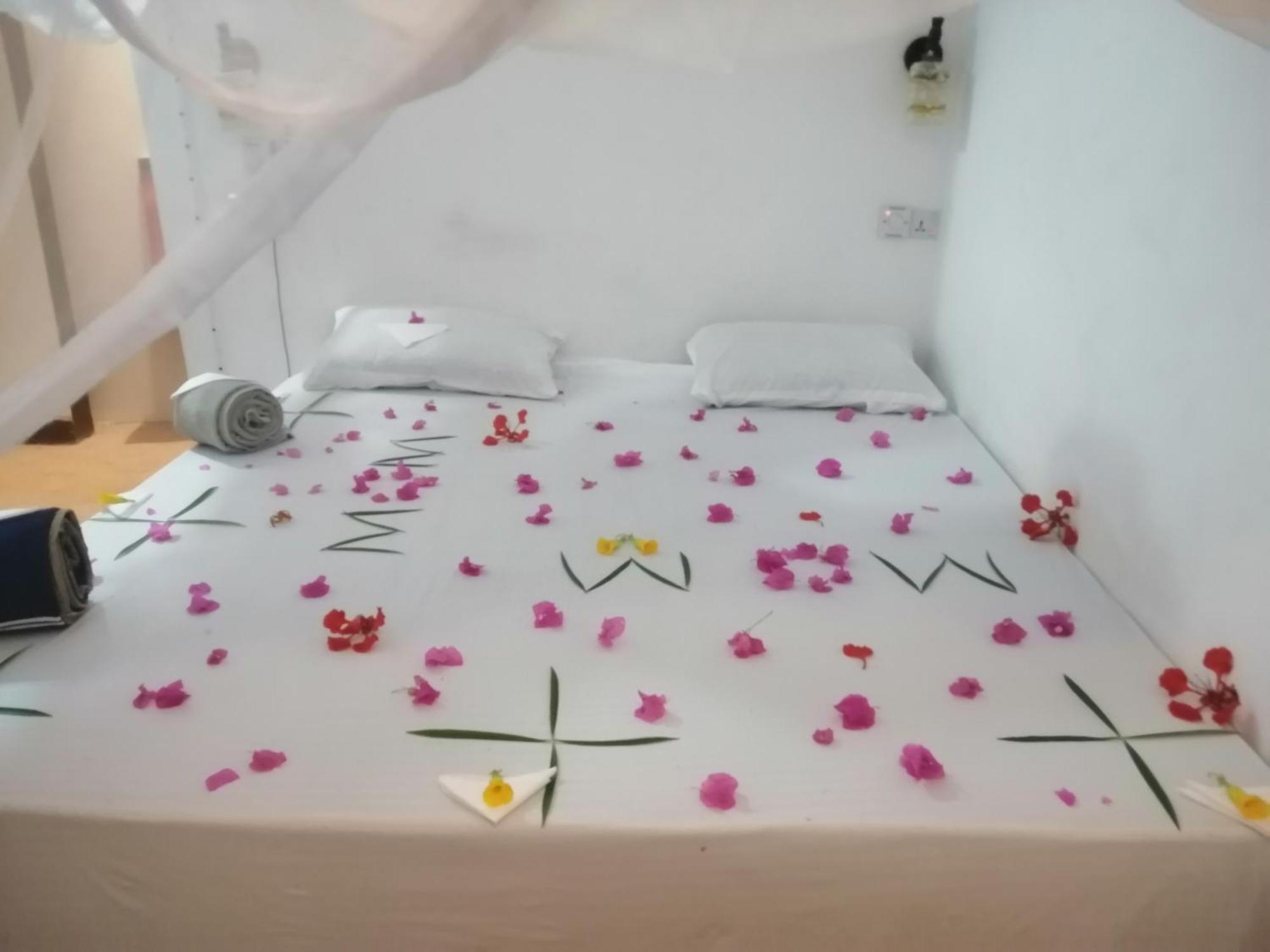 Guest house Wow House Jambiani (Zanzibar)
