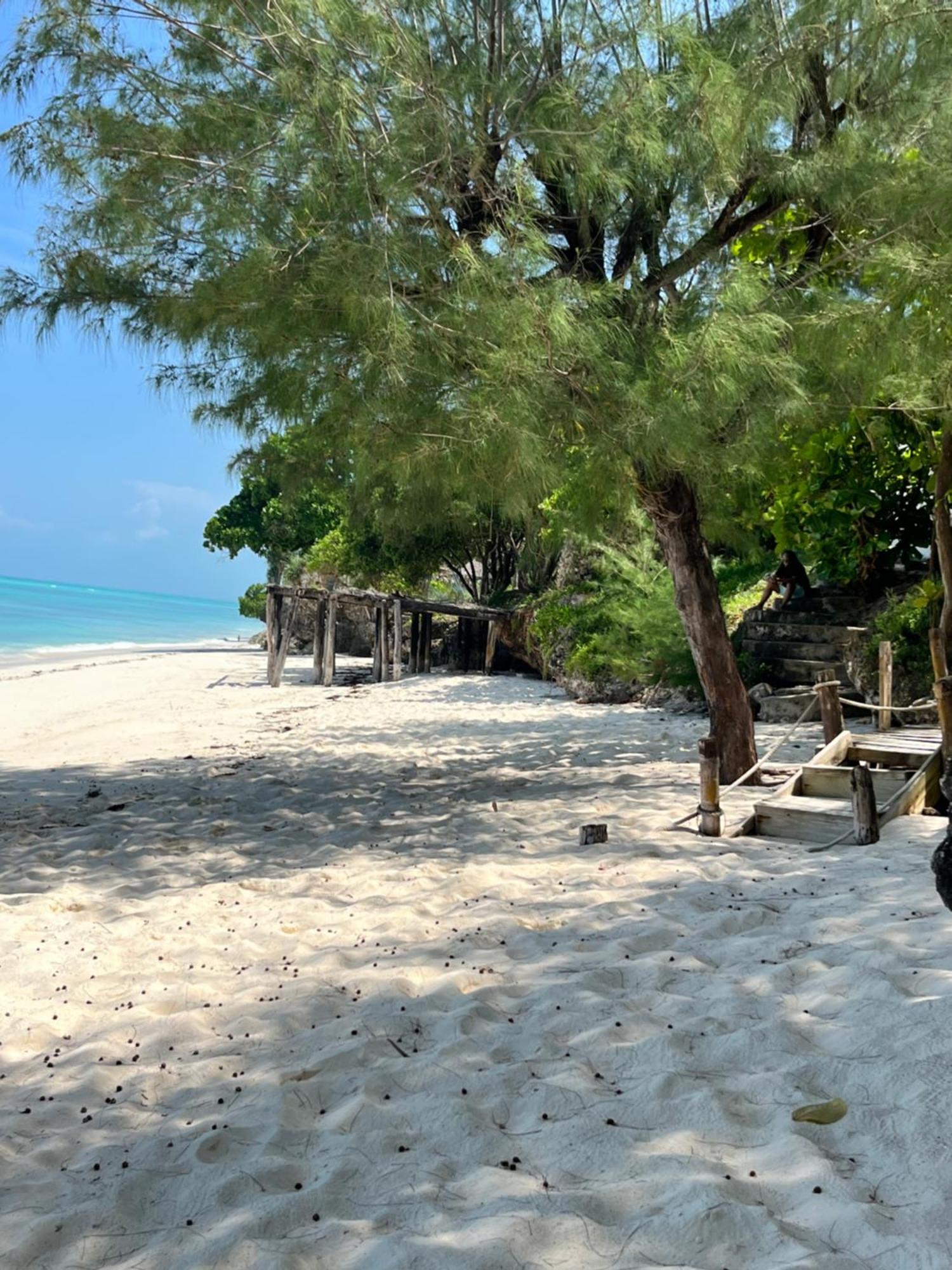 Lodge Sazani And Tidal Lounge