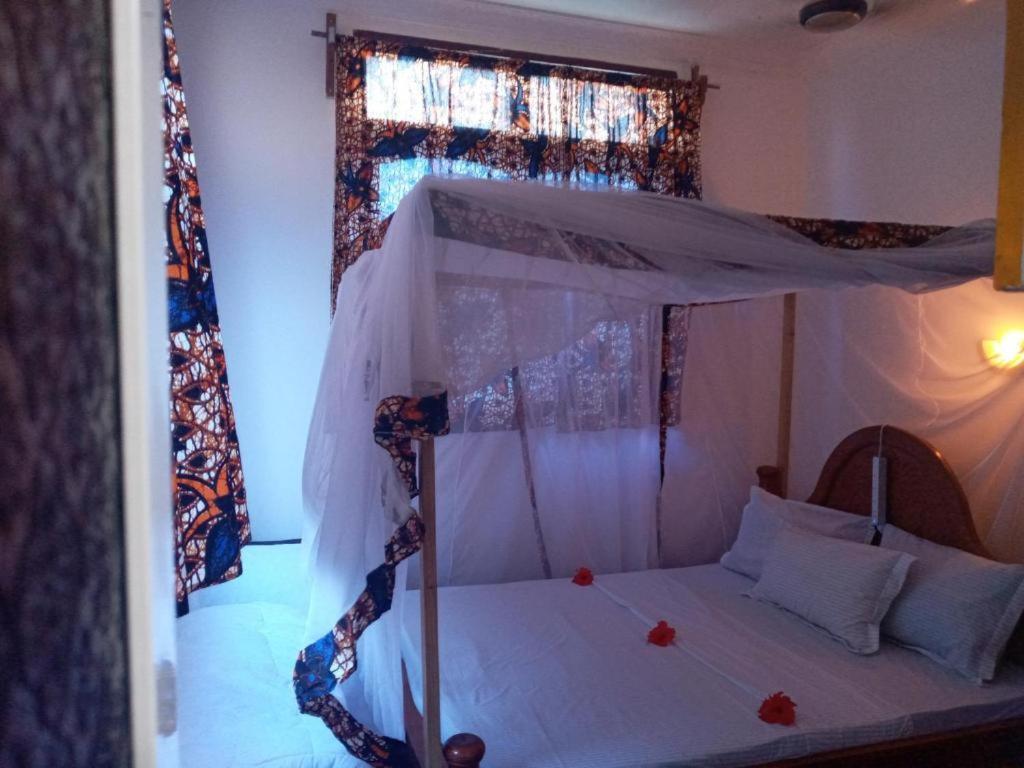 Jambo Bed & Breakfast *