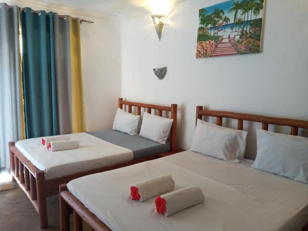 Jambo Bed & Breakfast *