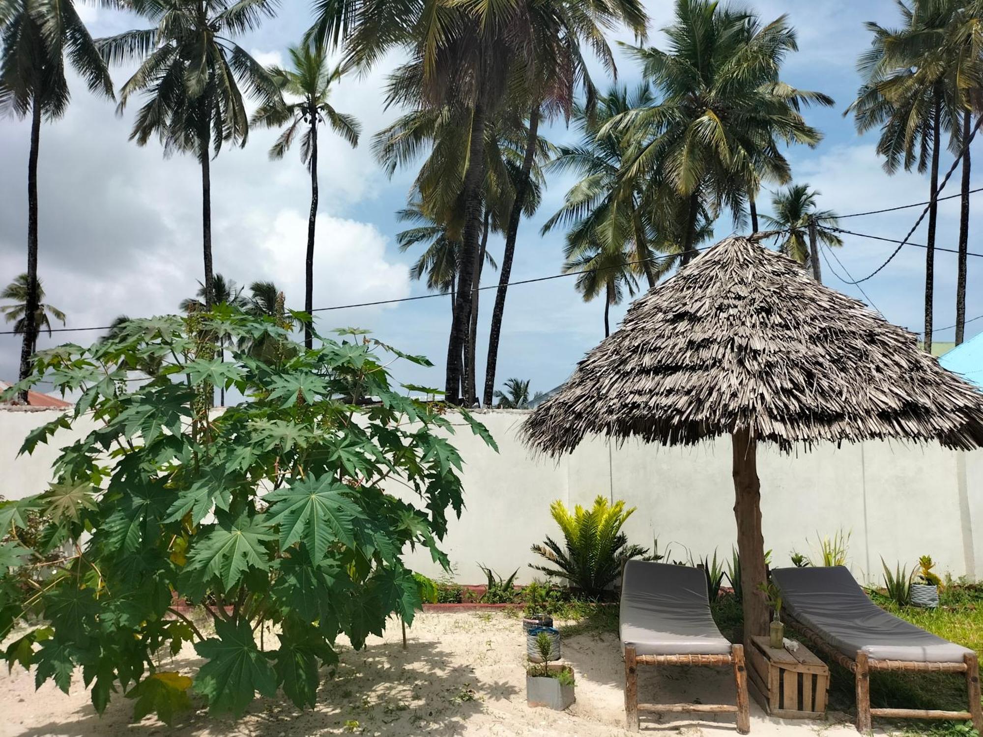 Hostel Mambo Leo *