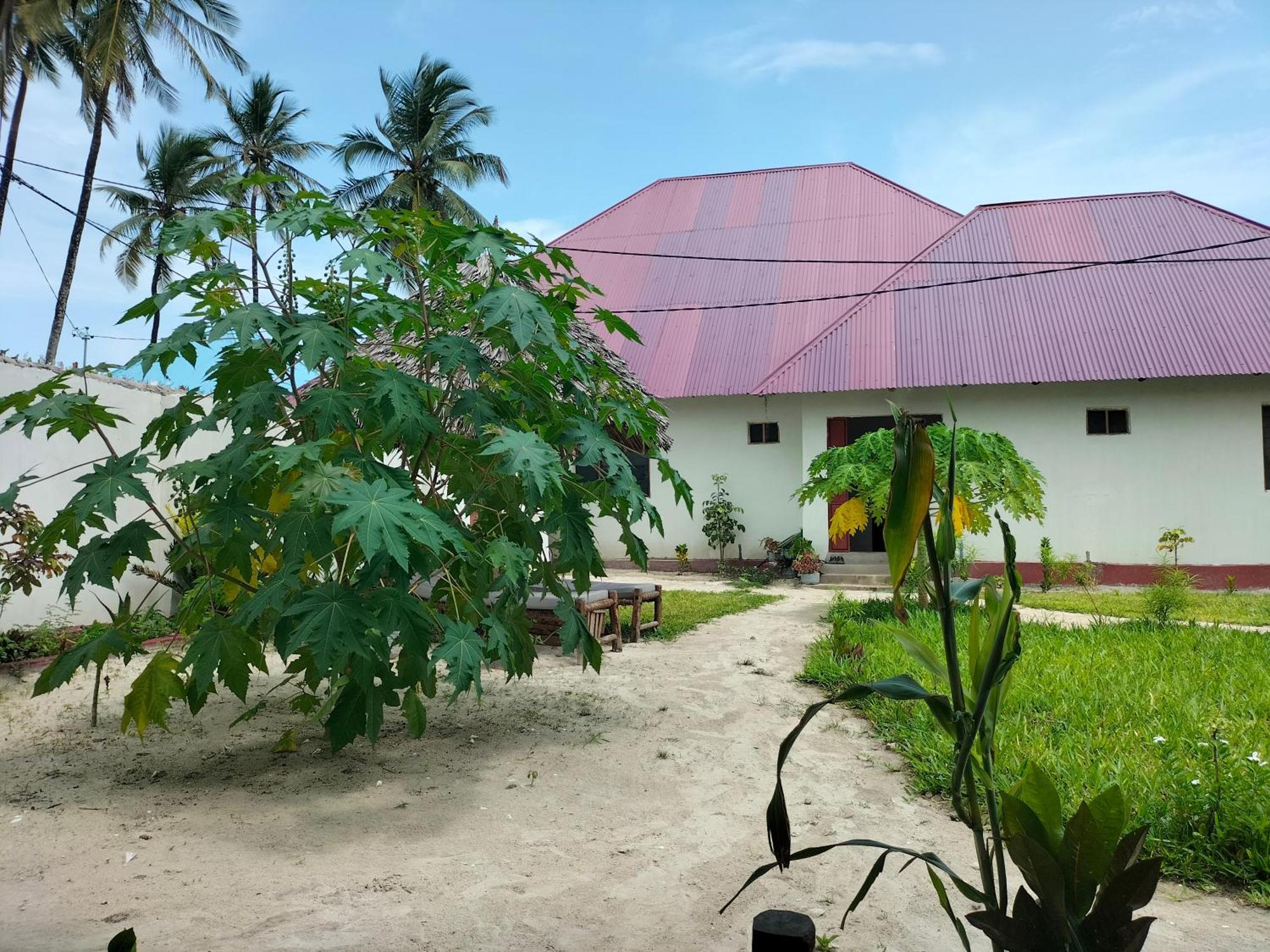 Hostel Mambo Leo Paje