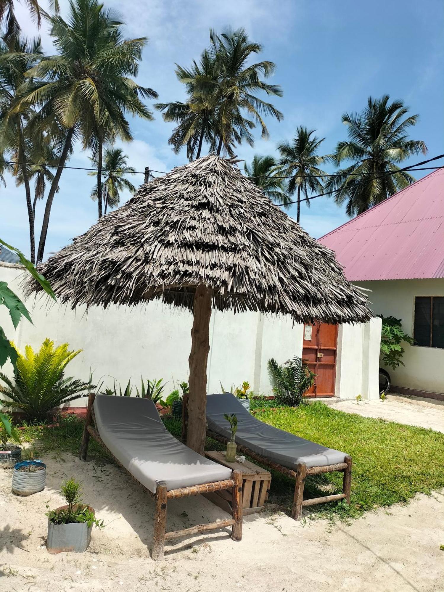 Hostel Mambo Leo *