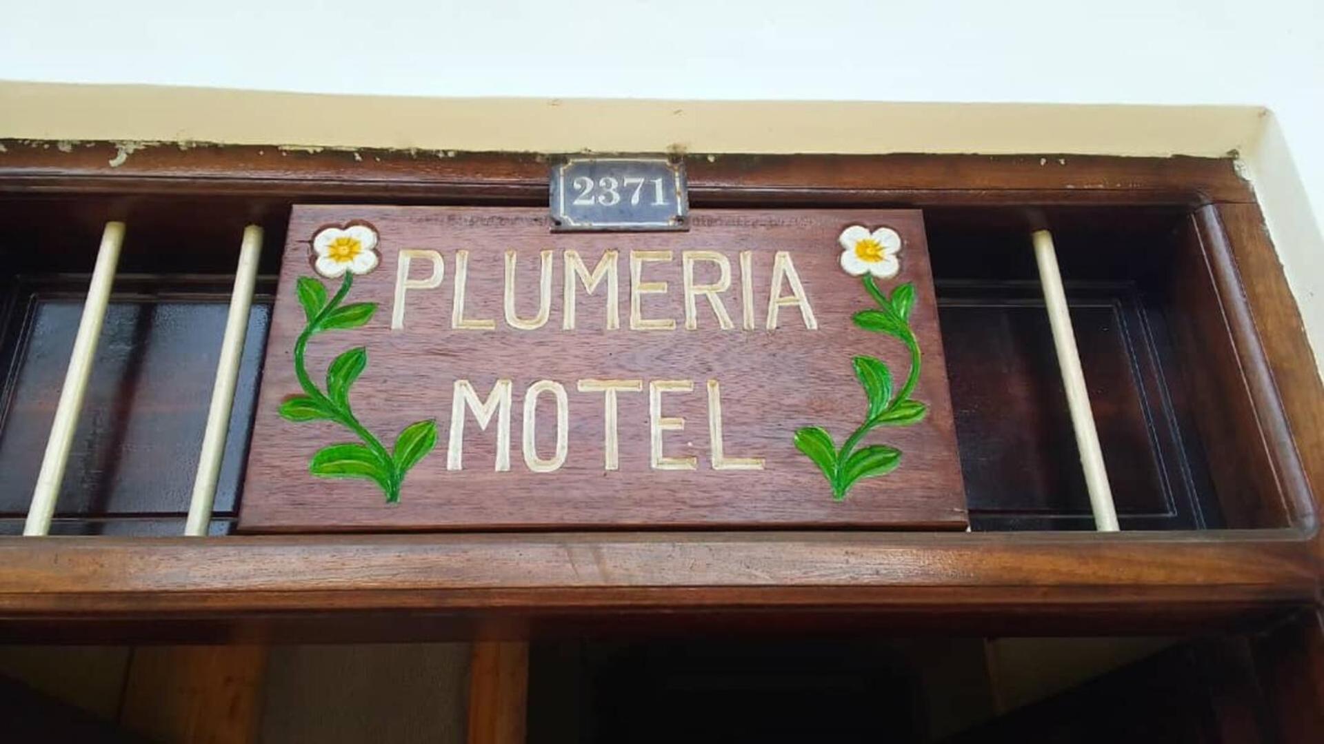 Plumeria - Stone Town Sansibar
