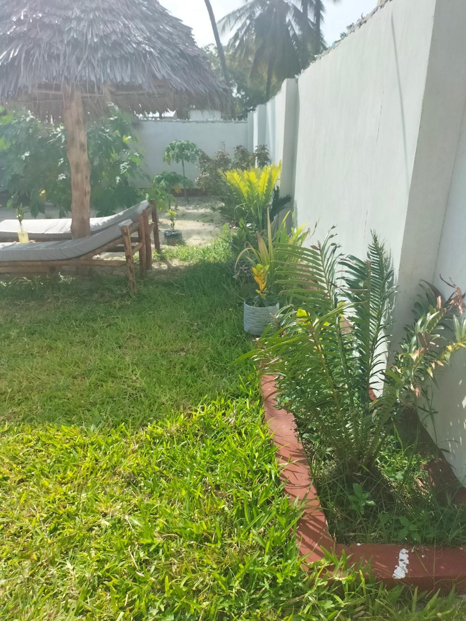 Mambo Leo Hostel *