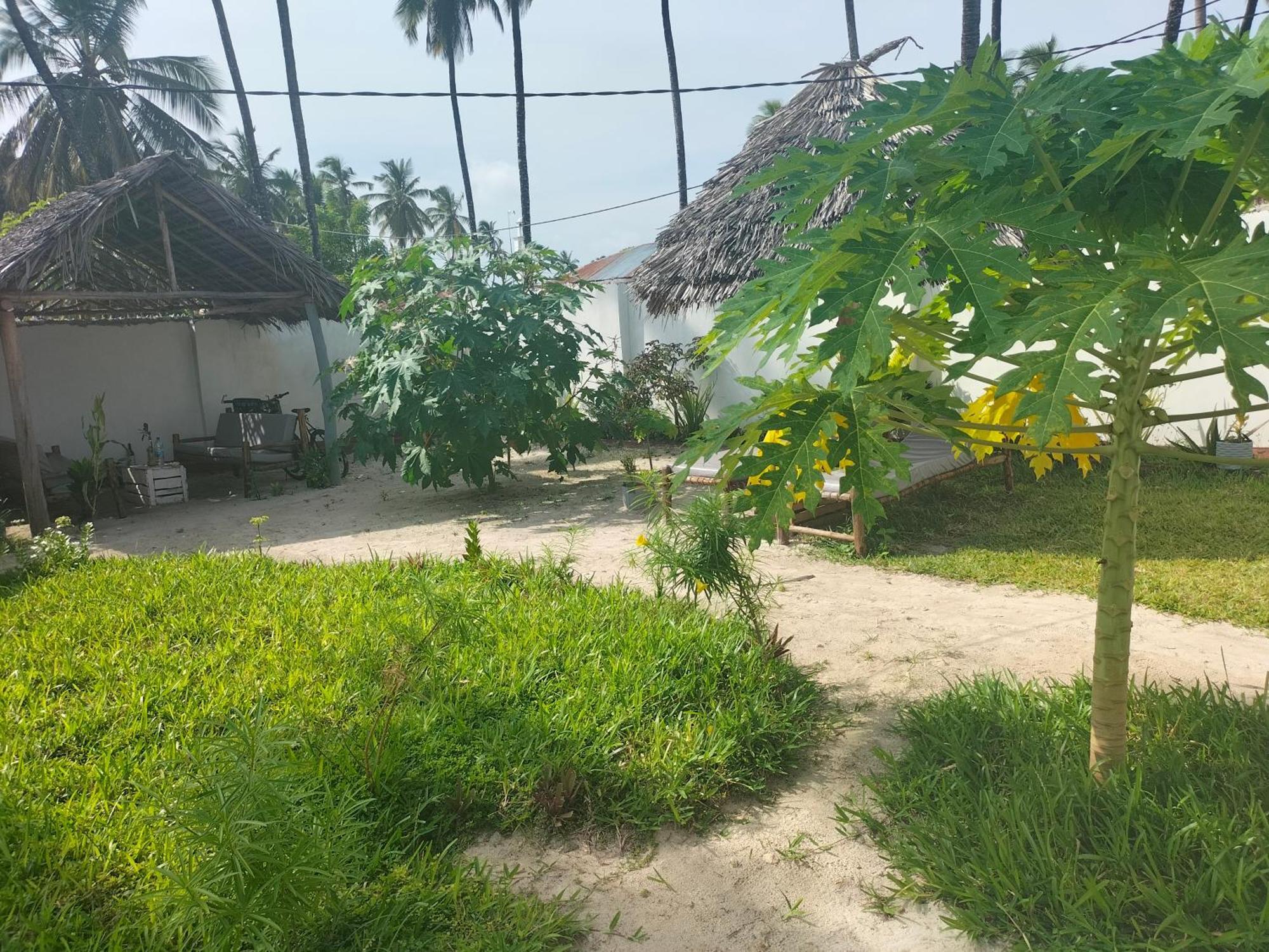 Mambo Leo Hostel
