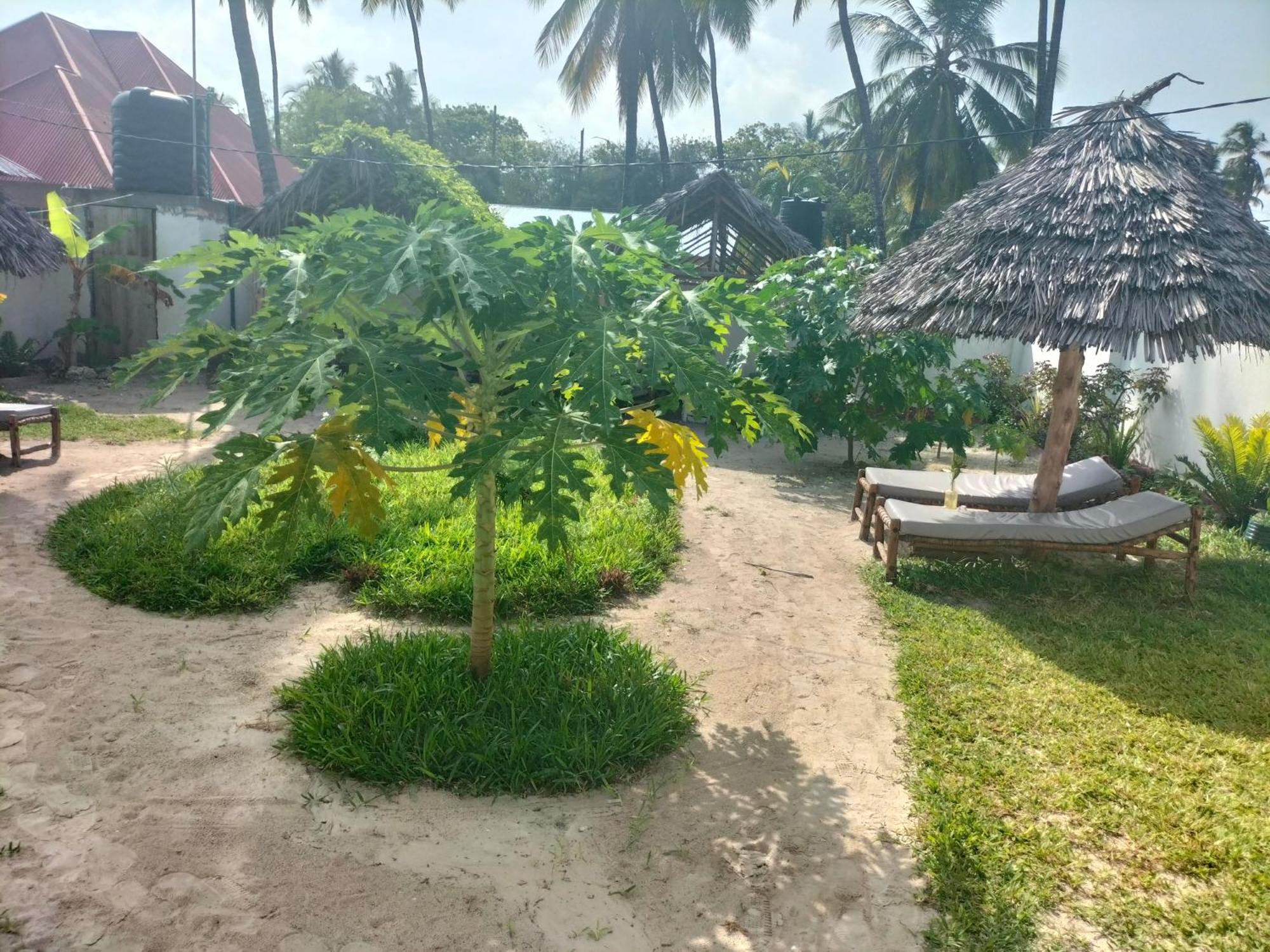 Mambo Leo Hostel Paje