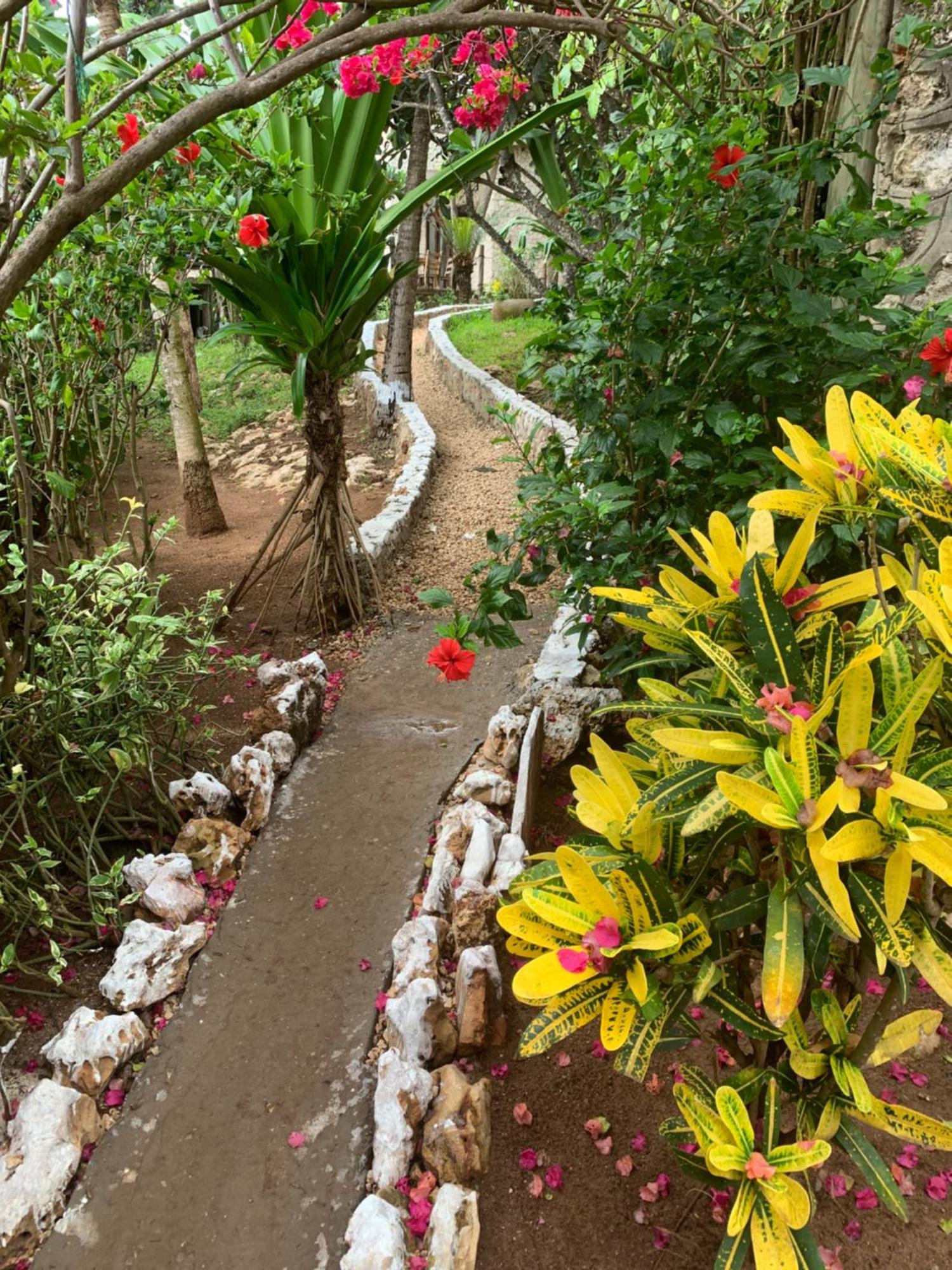 Zi Loft Beach * Matemwe (Zanzibar)