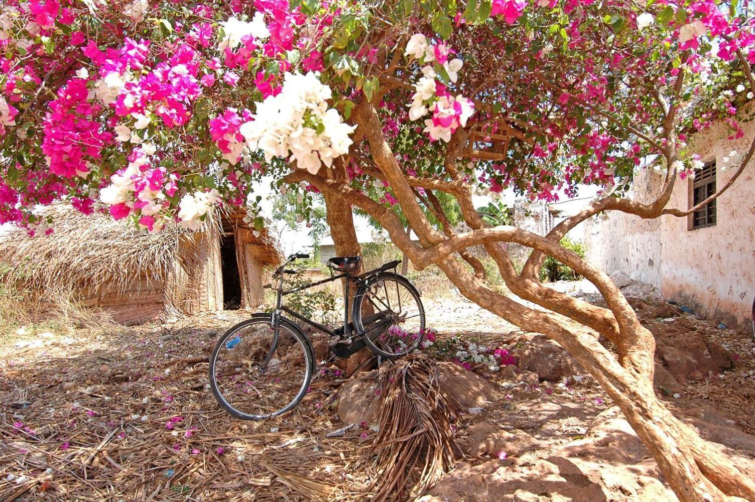 Zi Main House Resort *