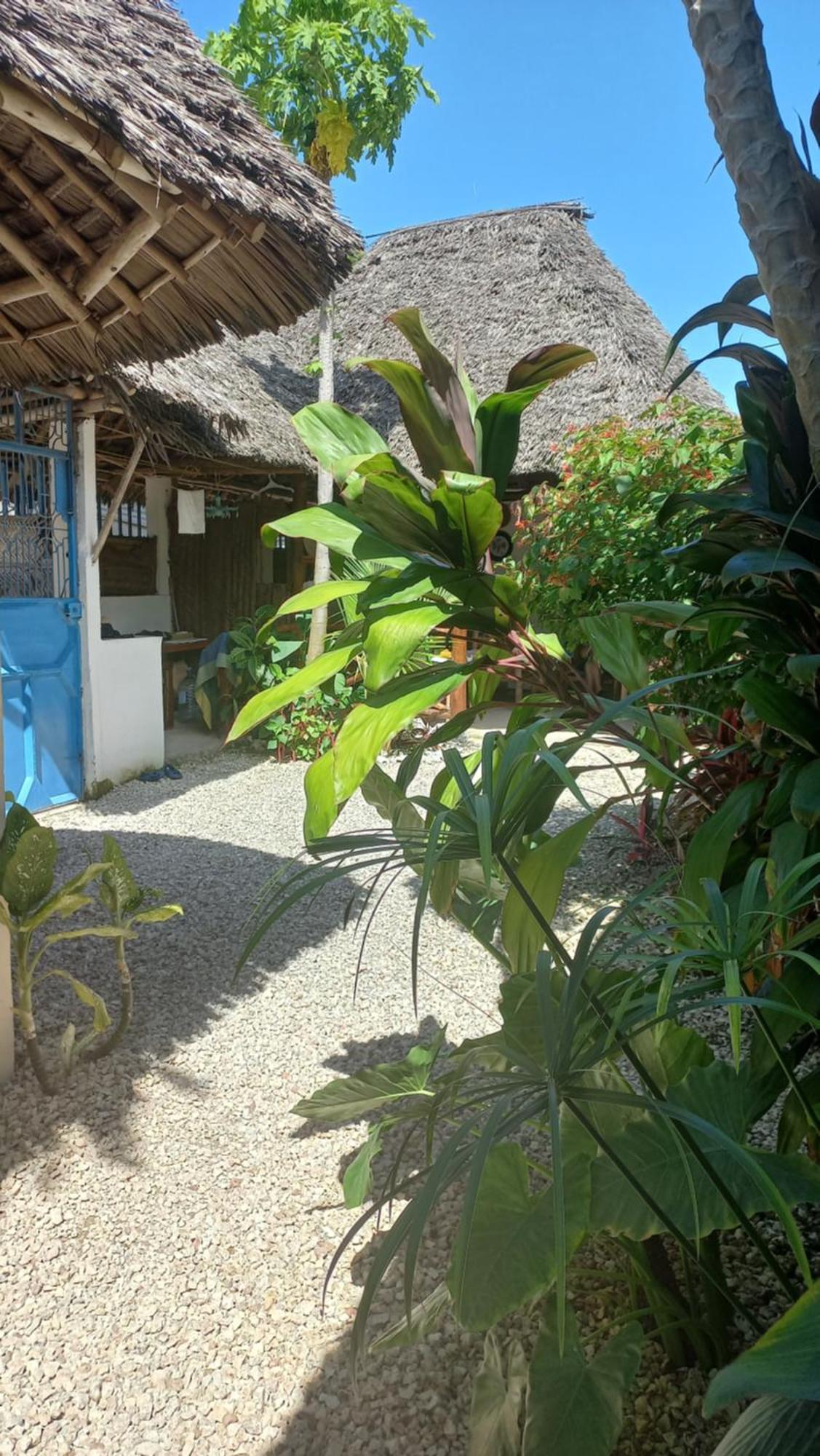 Bed & Breakfast Mana