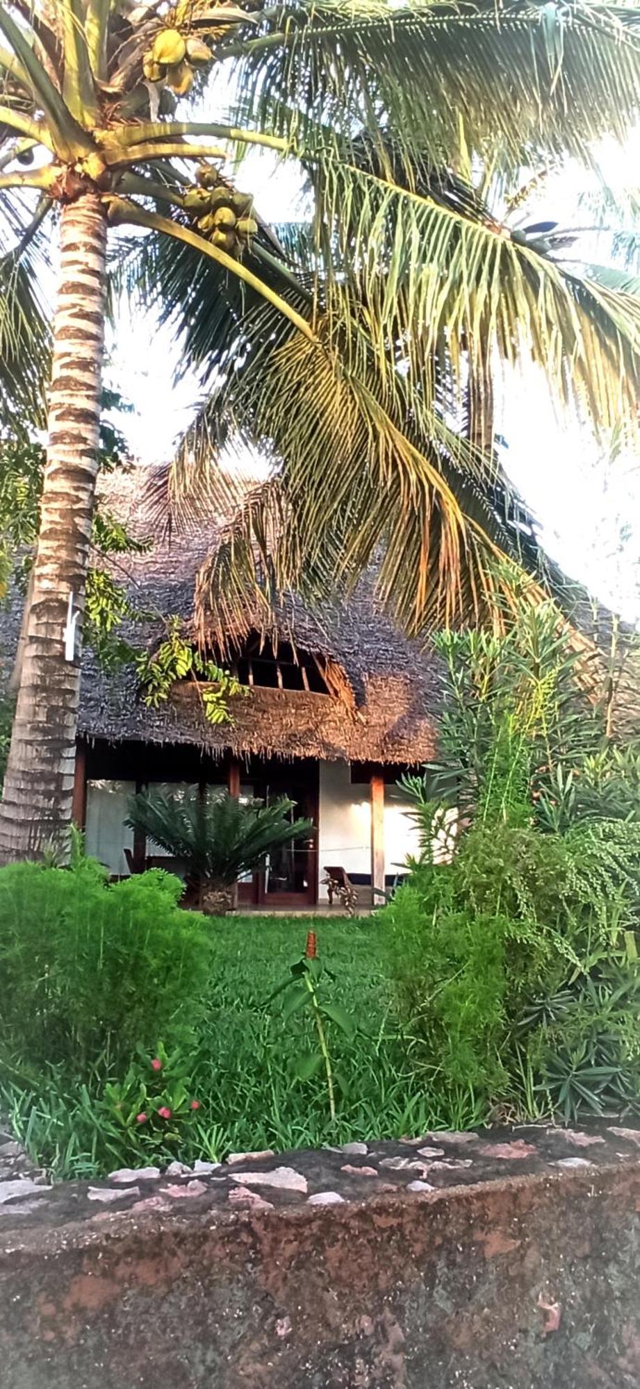 Art Zanzibar Bed & Breakfast Jambiani (Zanzibar)