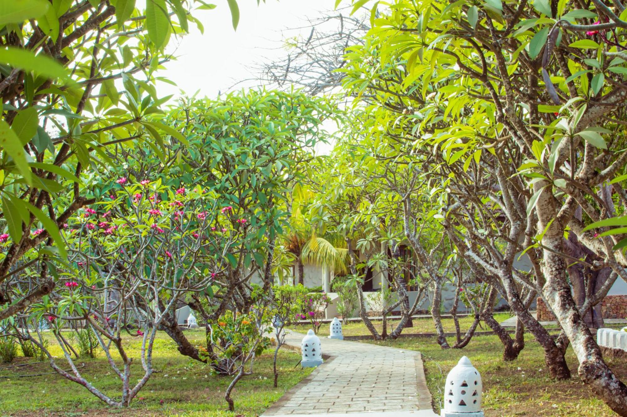 Mandarin Zanzibar 4* Kizimkazi
