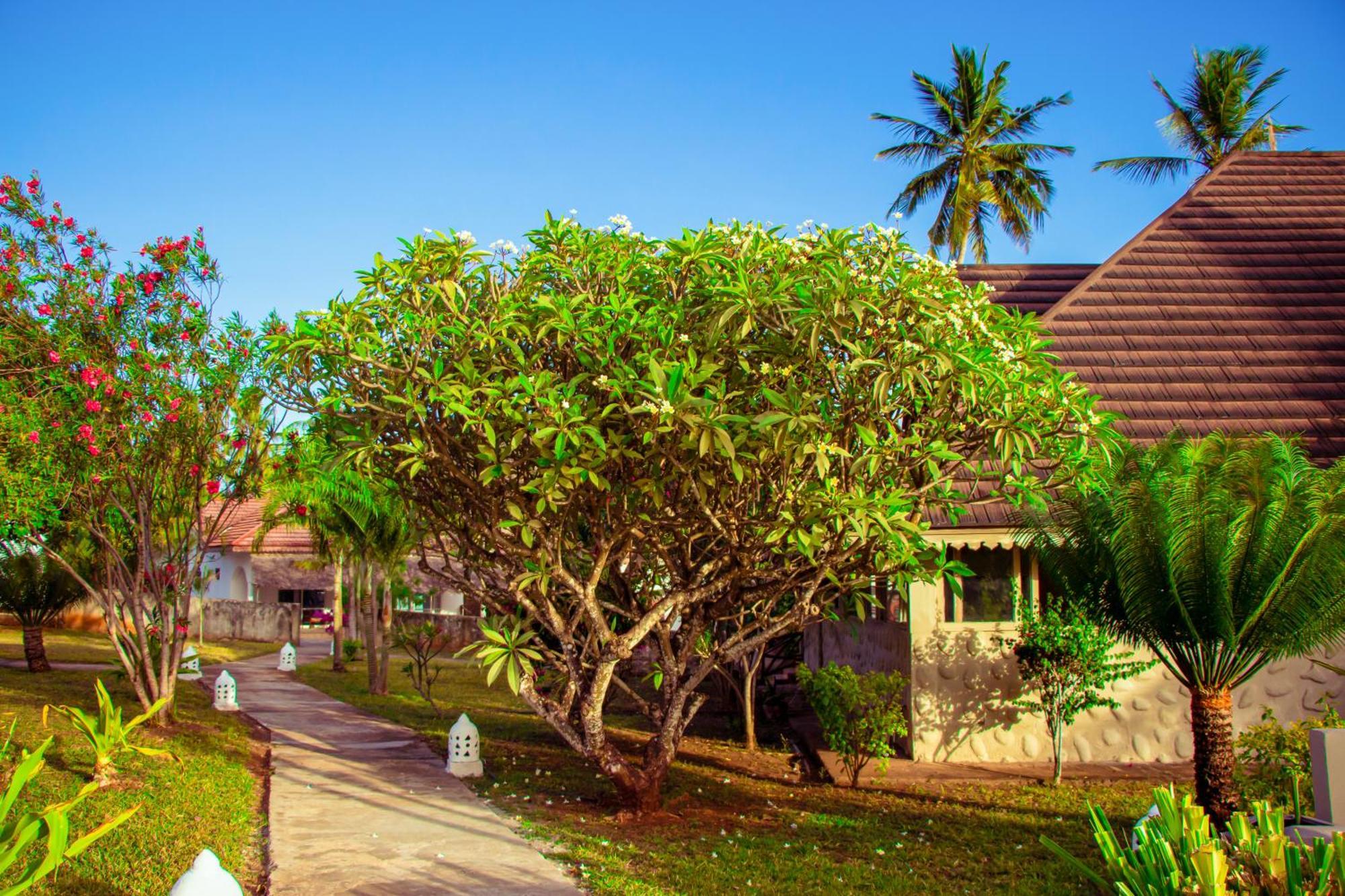 Hotel Mandarin Zanzibar 4*