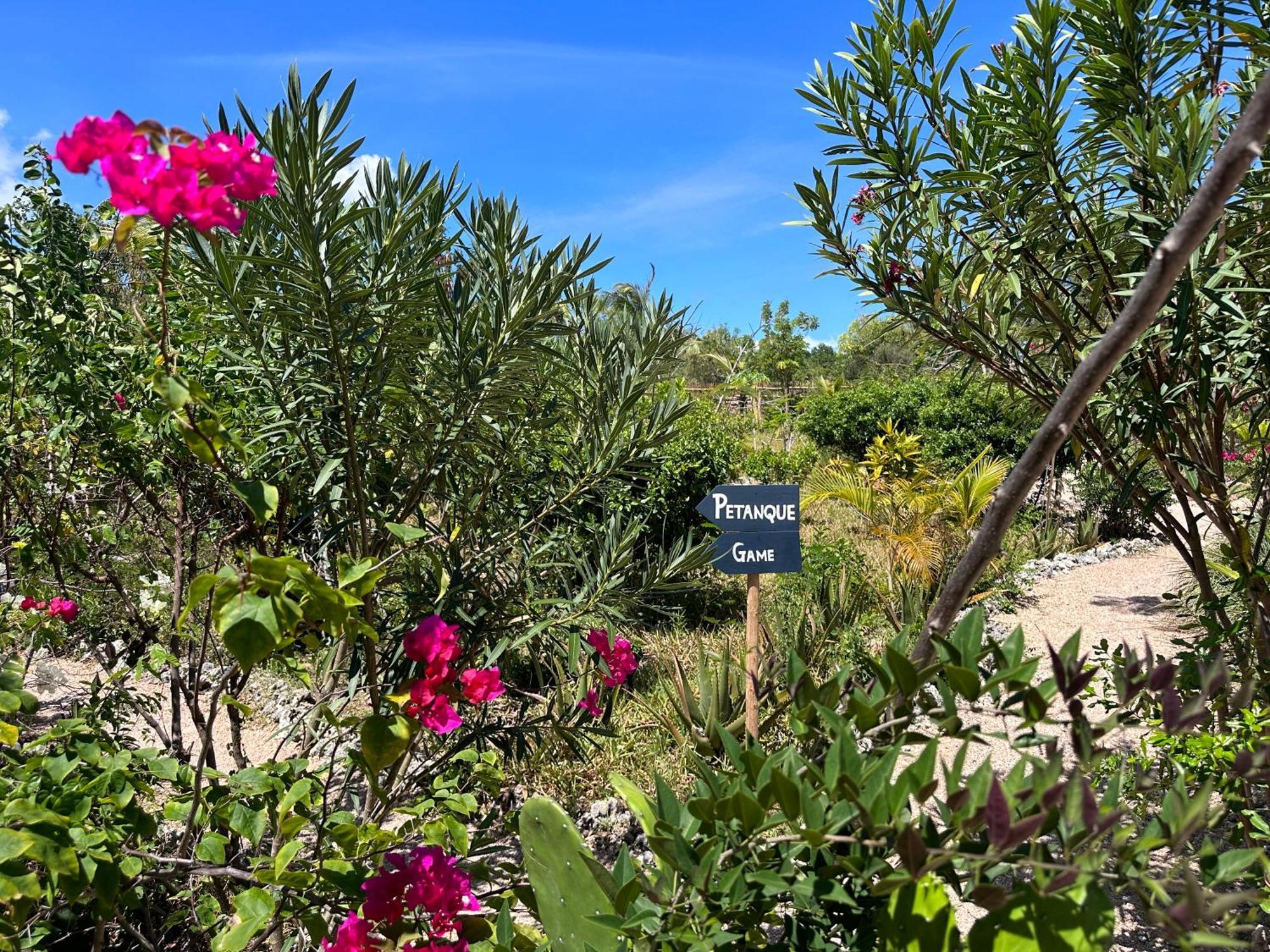 Hotel Kameleon Blue