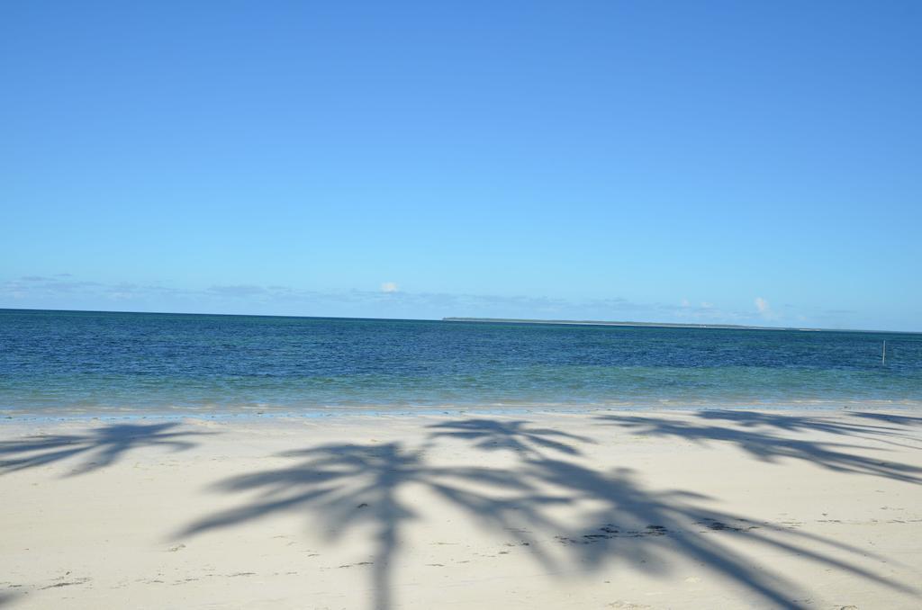 Art Zanzibar 3*