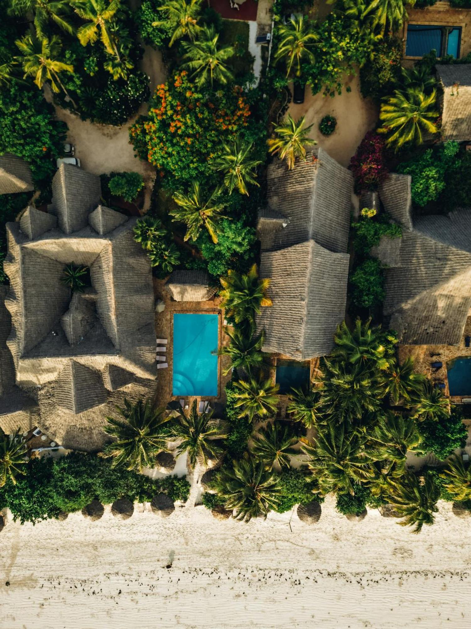 Hotel Zoi Retreat Hotel Zanzibar 4*