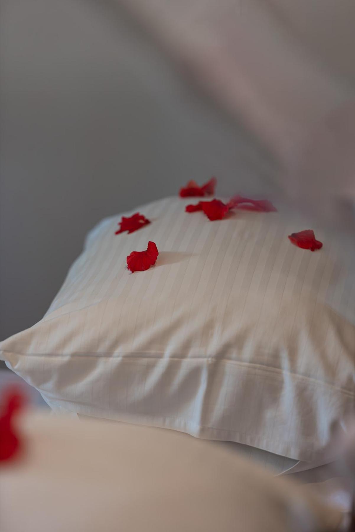 Hotel Zoi Retreat Hotel Zanzibar 4*